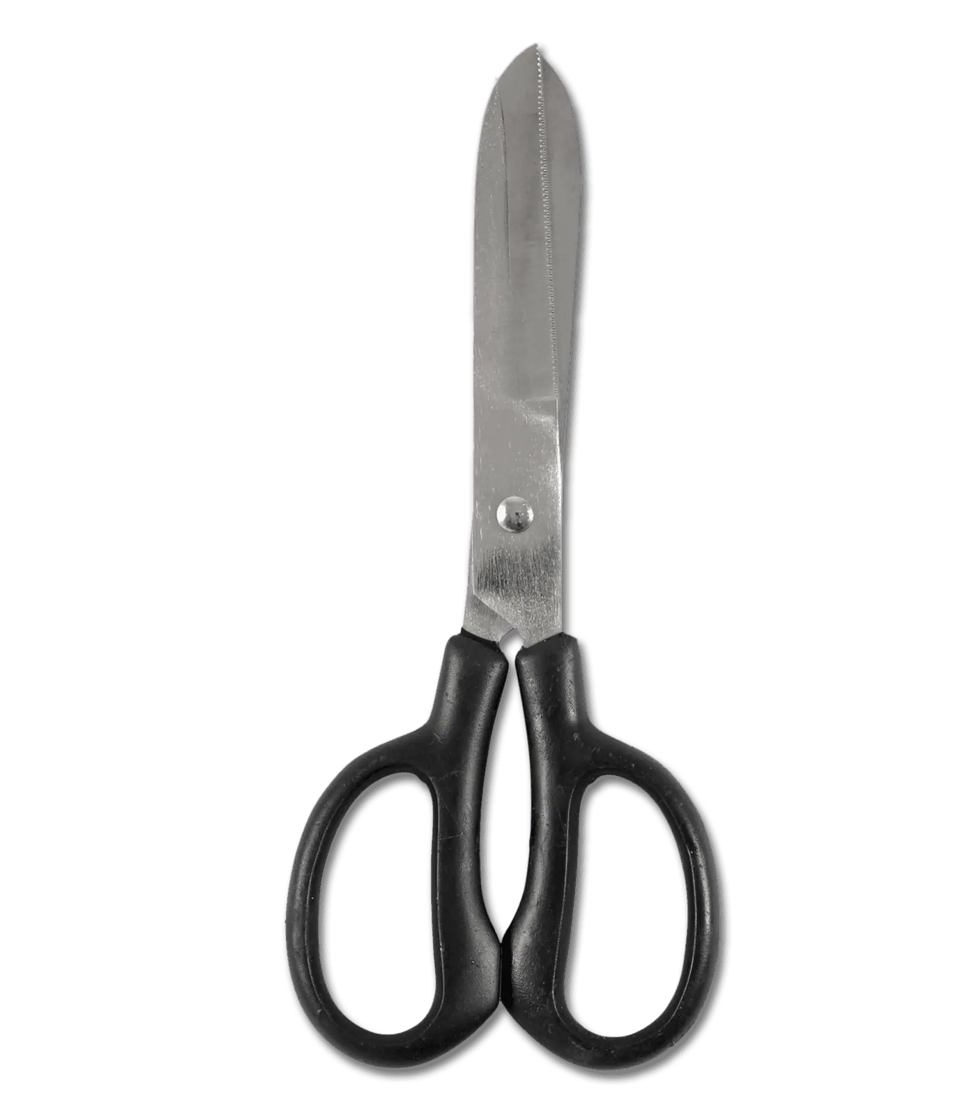 Waldhausen Forbici per Barbetta Curve, Acciaio Inox, 21 cm