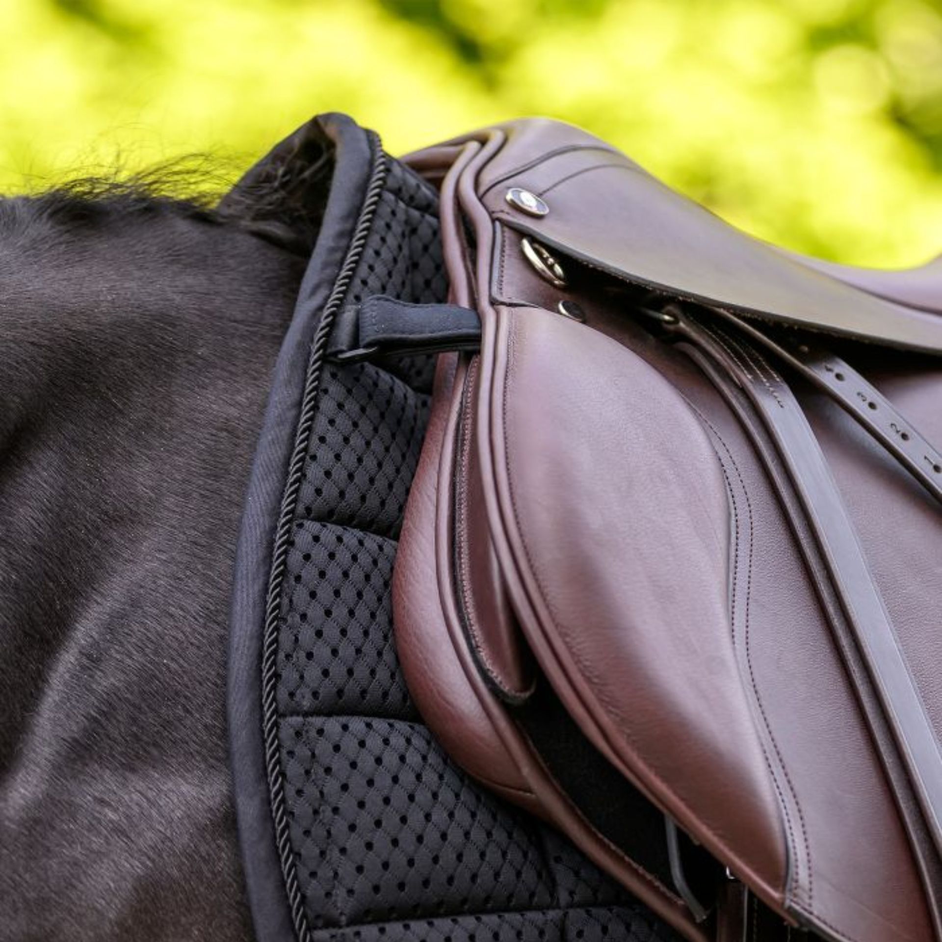 Waldhausen Saddle Pad Breath Performance, breathable with mesh spine channel, detail view, cover