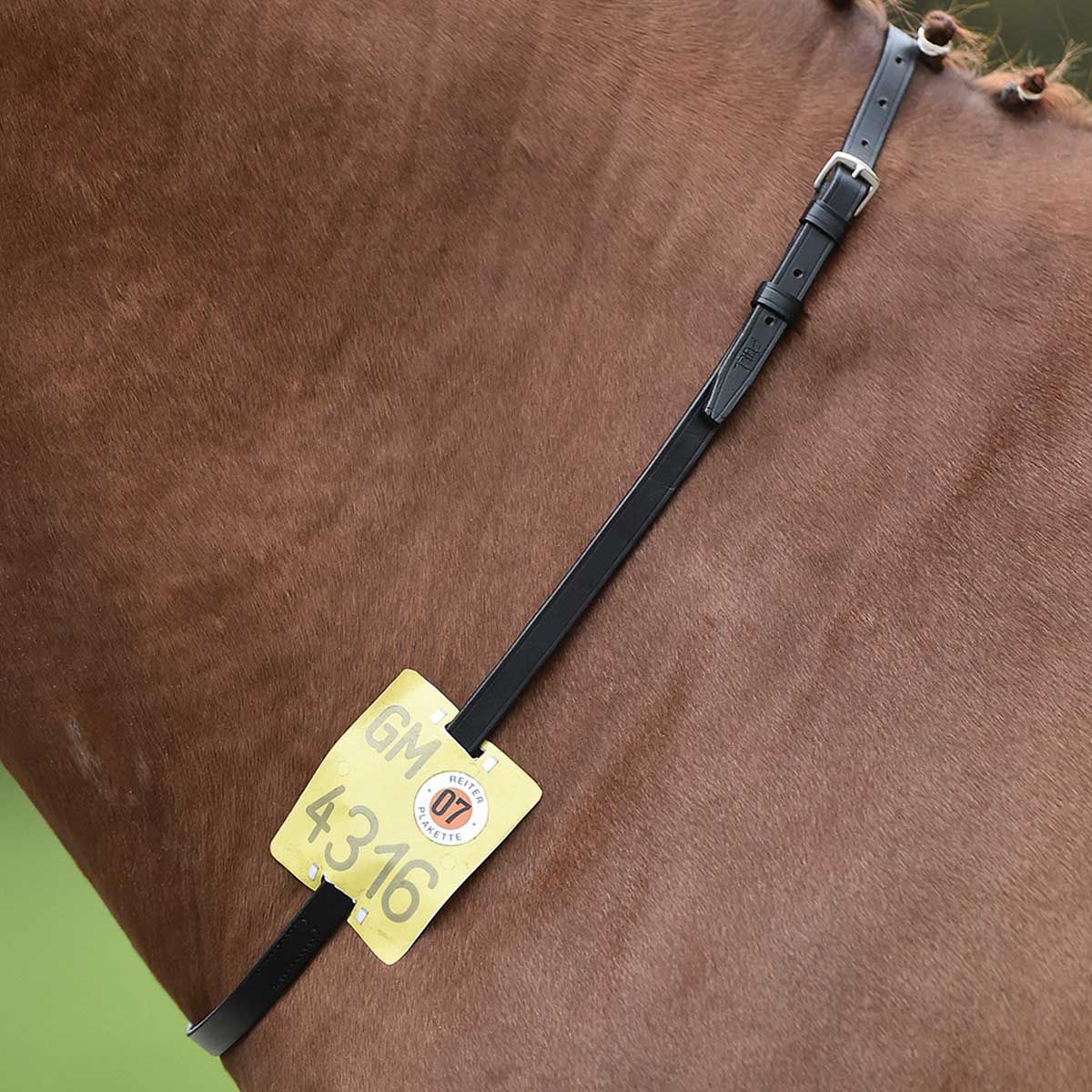 BUSSE Halsriemen Reitkennzeichen, verstellbar, aus Leder, Warmblut