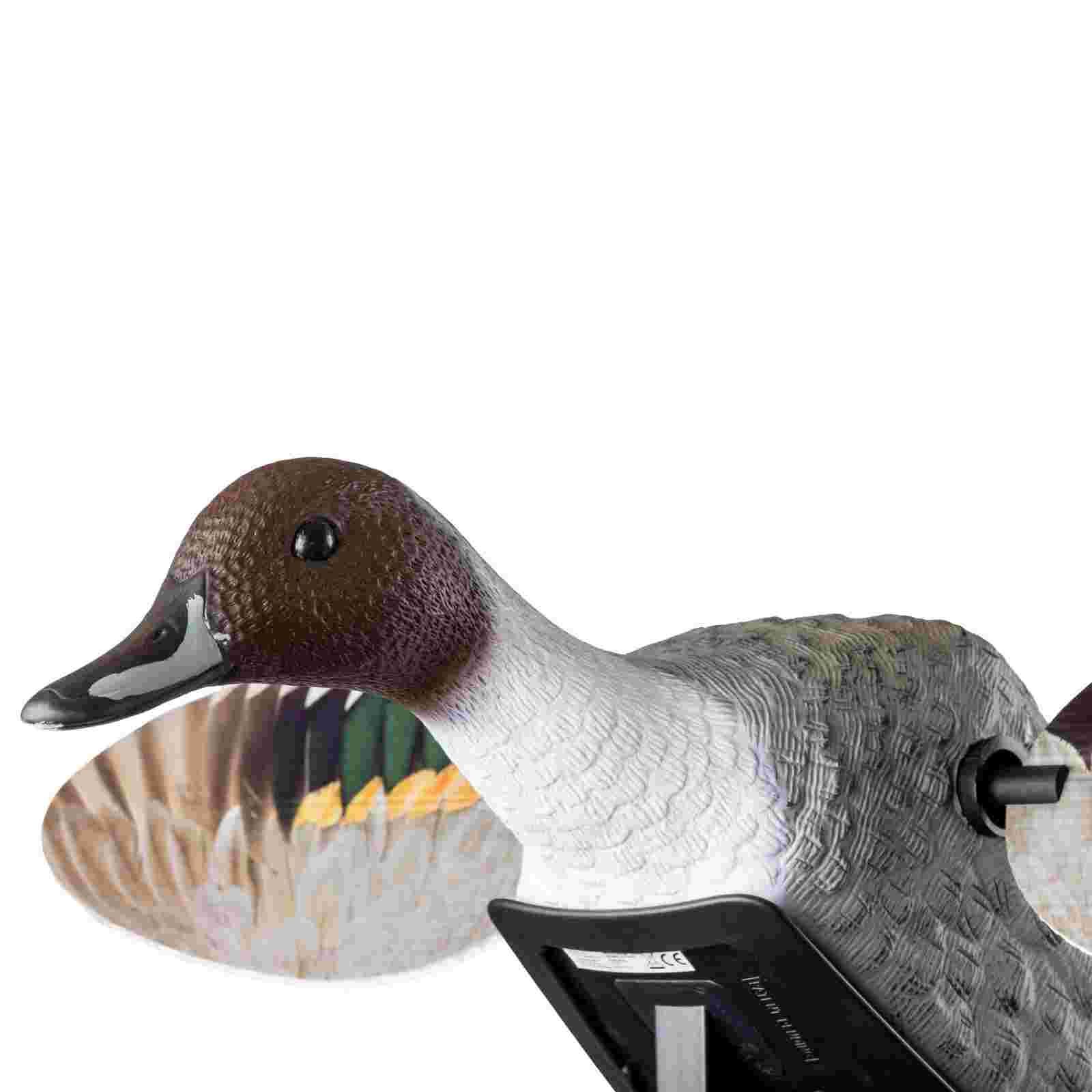 Mojo ES Pintail Vogelattrappe, Detailansicht