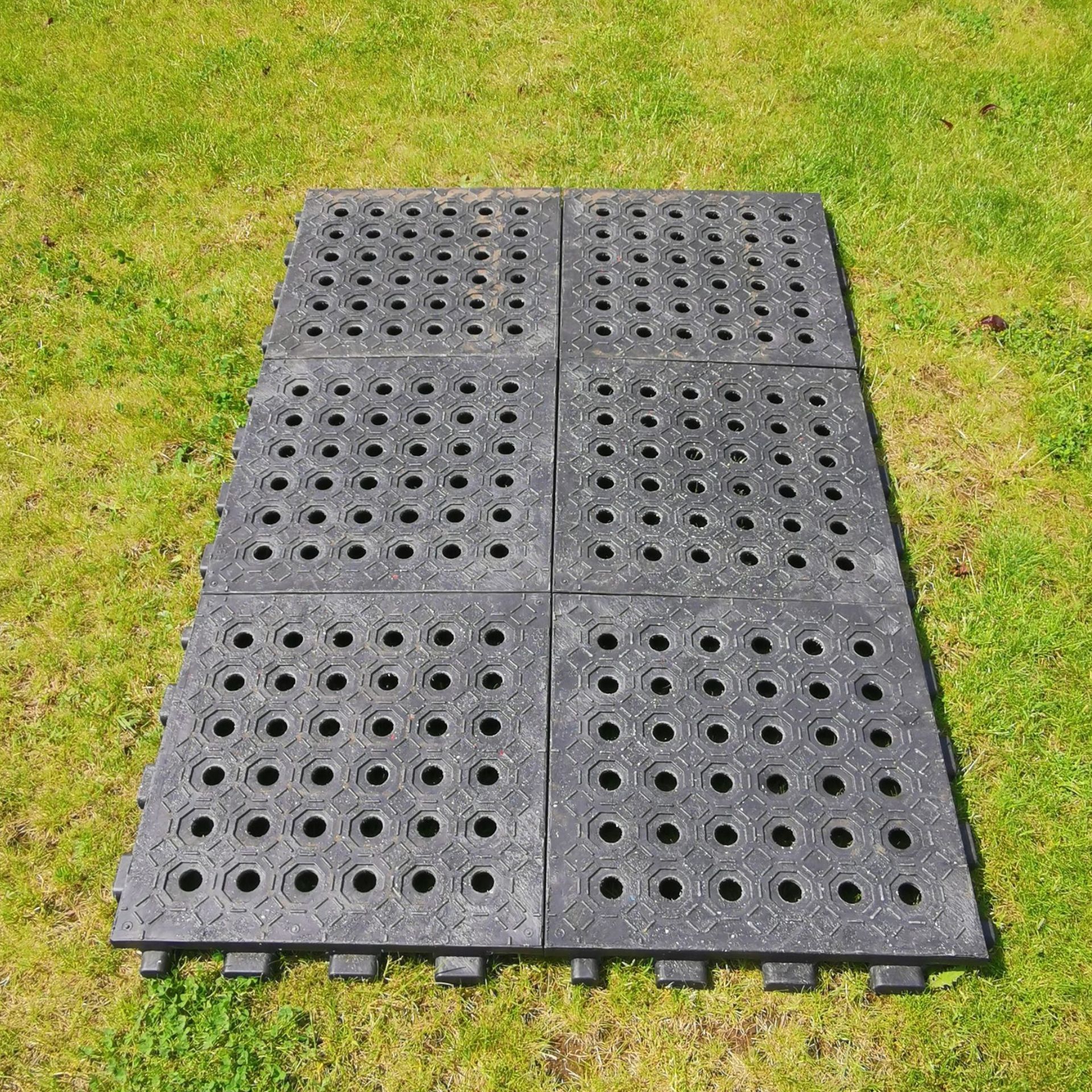 Reitplatz & Paddockplatte 50 x 50 x 5,3 cm, im Einsatz, auf der Weide
