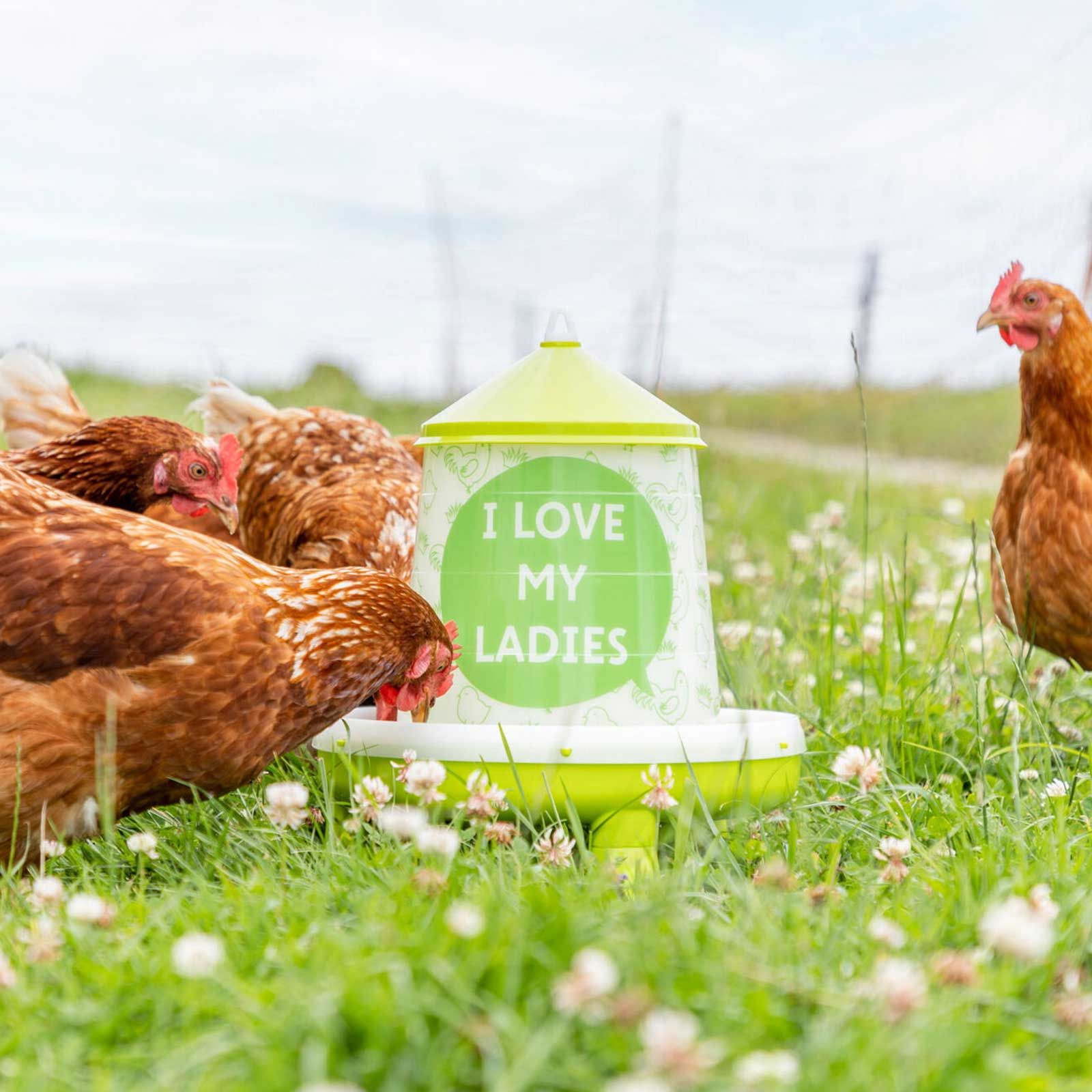 Kerbl Hrănitor pentru Păsări cu Picioare "I love my Ladies", în utilizare