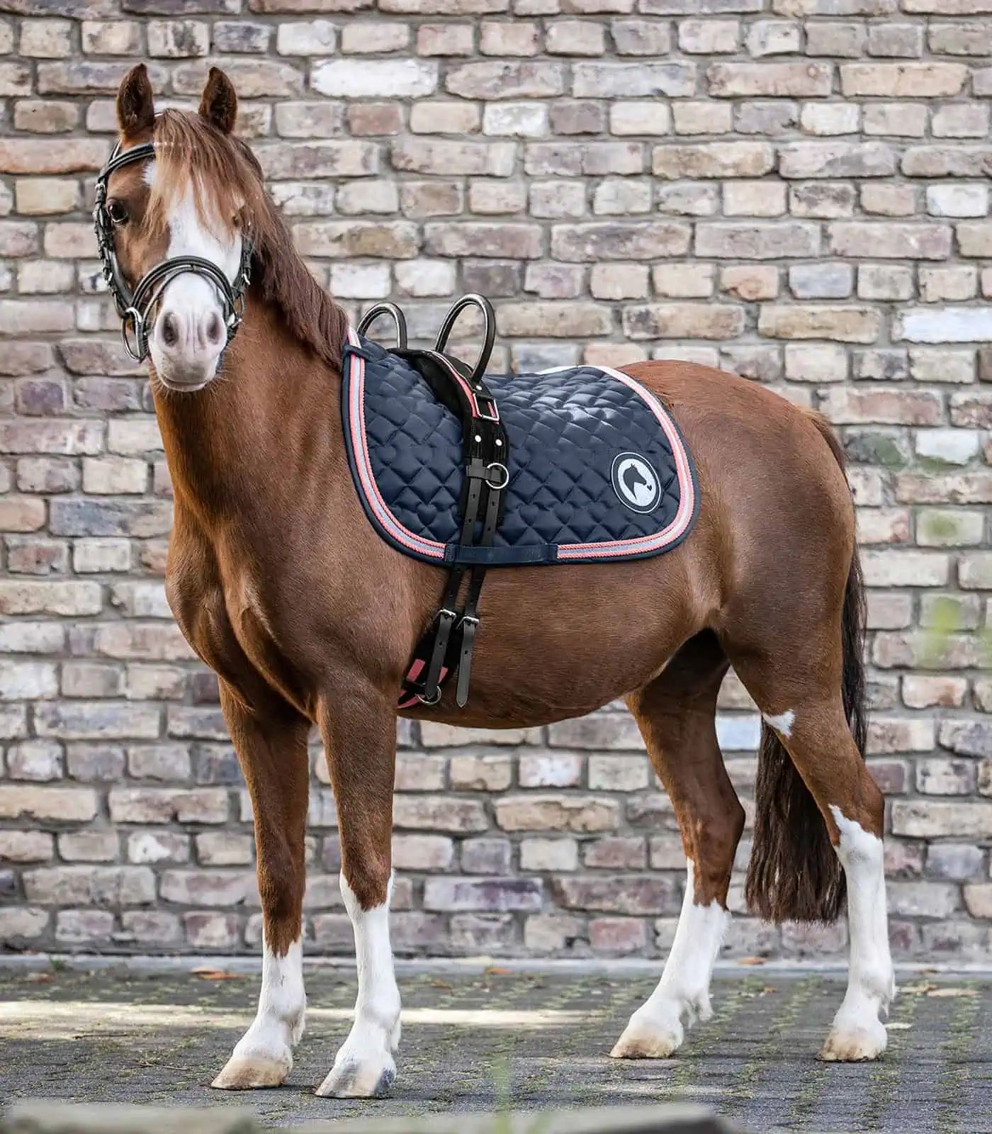 Waldhausen Surfaix à Deux Poignées, Synthétique, pour Chevaux, Mini Shetty, noir/rose rouge