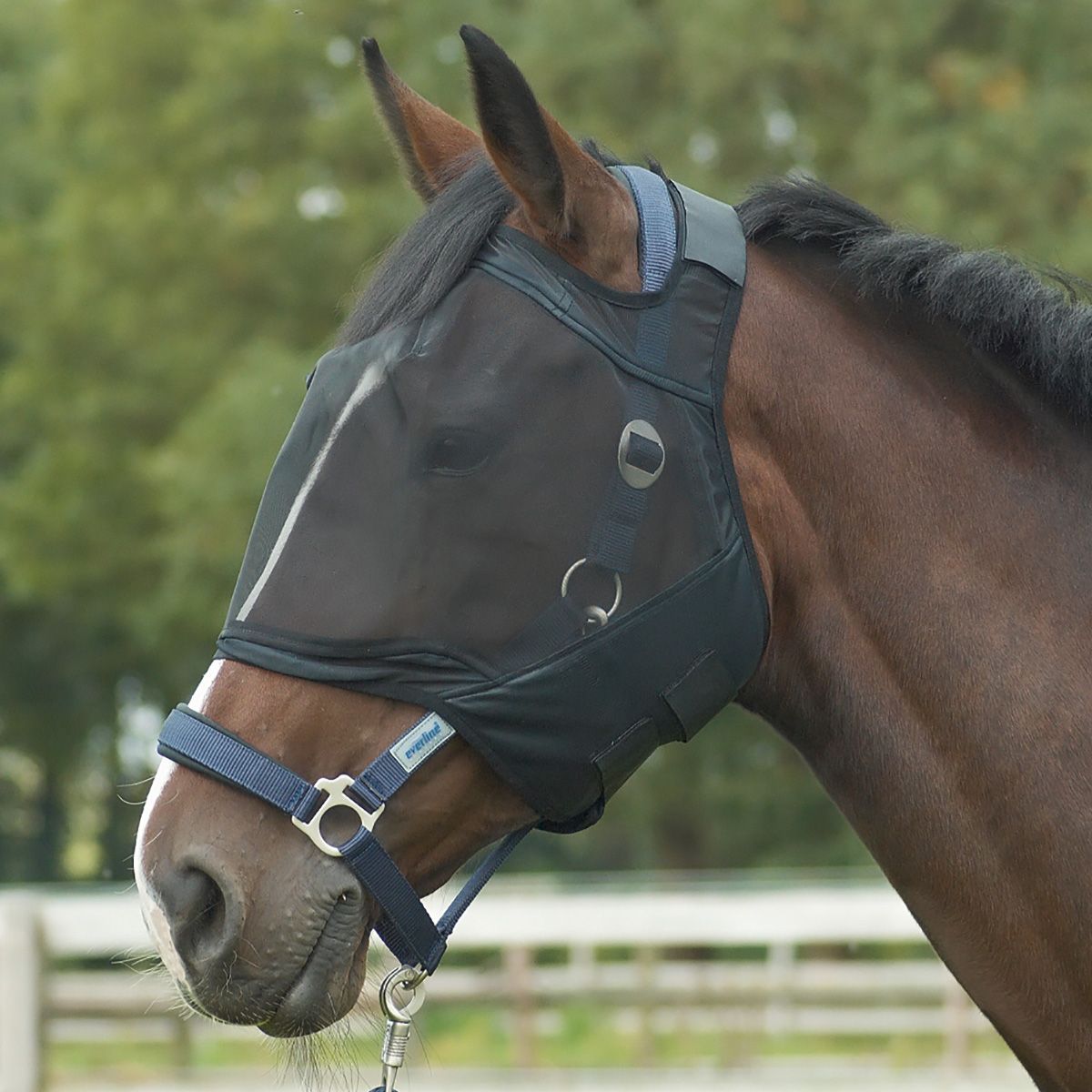 BUSSE Fliegenmaske FLY GUARD Pony