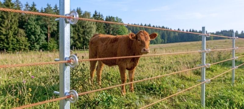 Fili per recinto elettrico