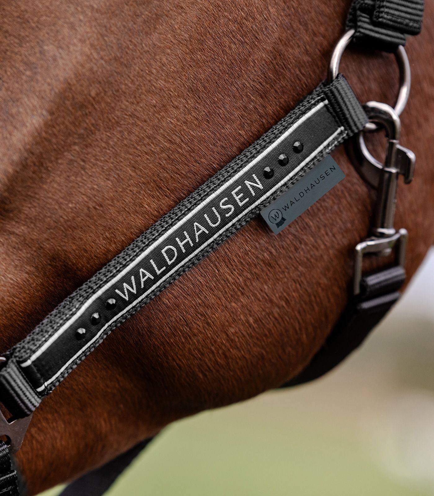 Waldhausen Halfter Elegant, schwarz
