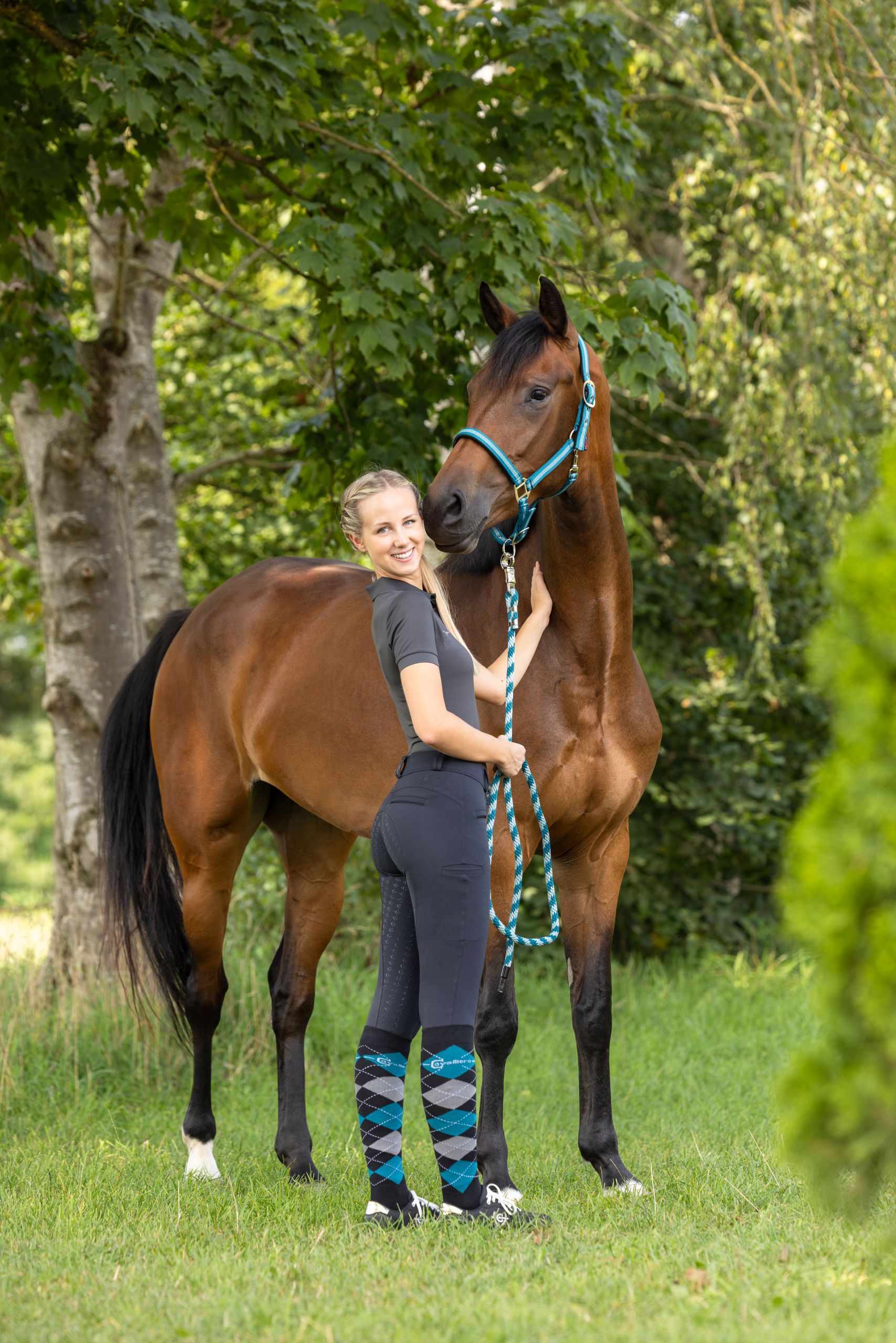 equestrian, horse, rider, halter, socks