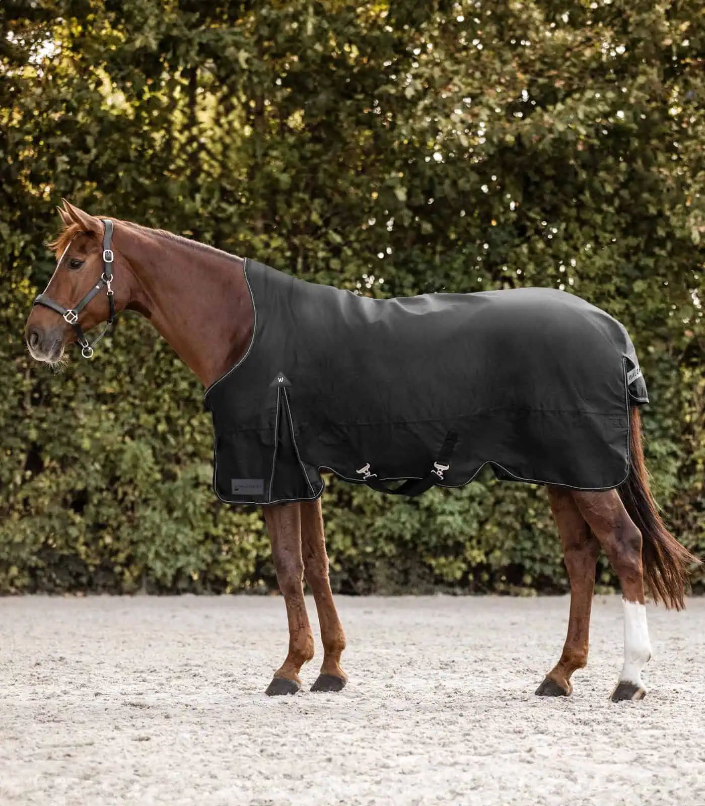 ARCTIC Turnout Rug, High Neck, 100 g black 165