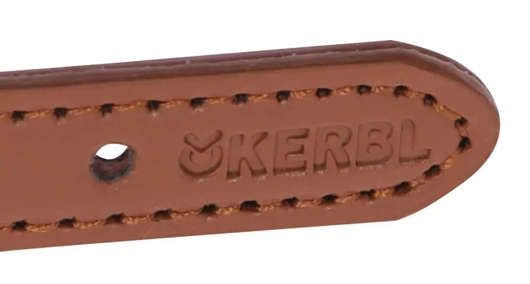 Kerbl Collare Phoenix Cane, Rotondo, Fibbia a Rullo, Blu, dettaglio, logo