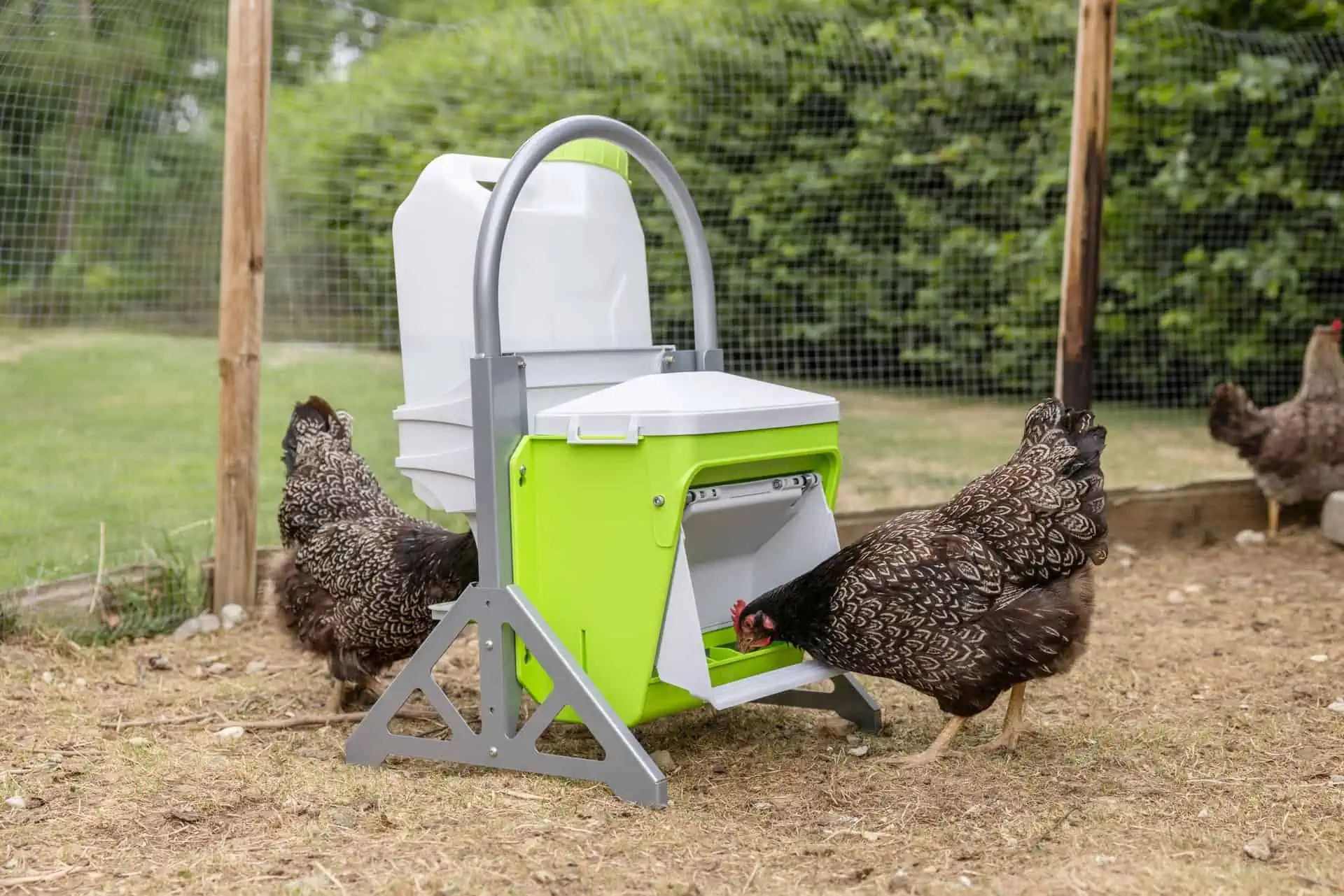 Kerbl SmartCoop mobiler Ständer für Tränke und Futterautomat, im Einsatz