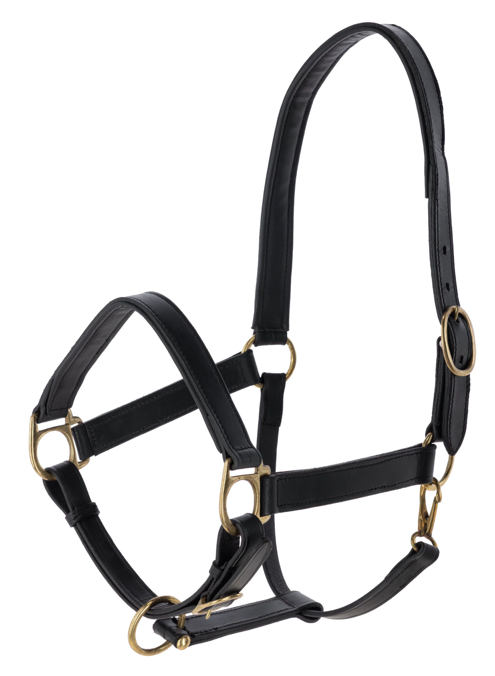 horse tack, halter, headstall, black leather, metal hardware