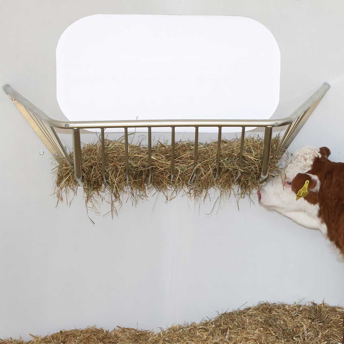 Râtelier à foin Kerbl pour niche à veaux, galvanisé, 113 x 41 x 38 cm, en utilisation, à l'écurie