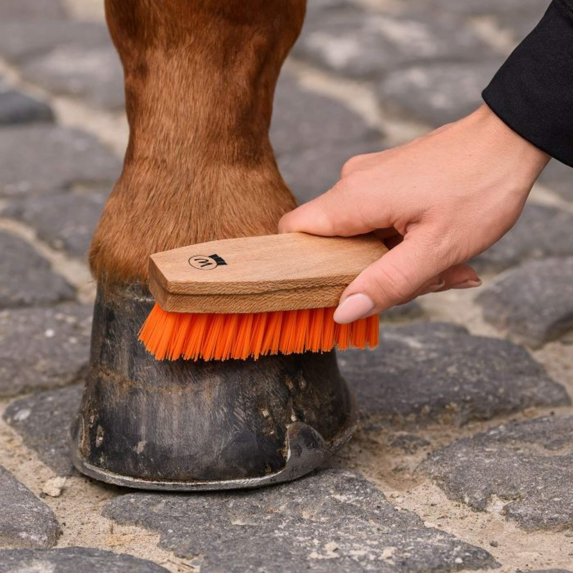 horse, horse hoof, brushing, hoof care, orange brush