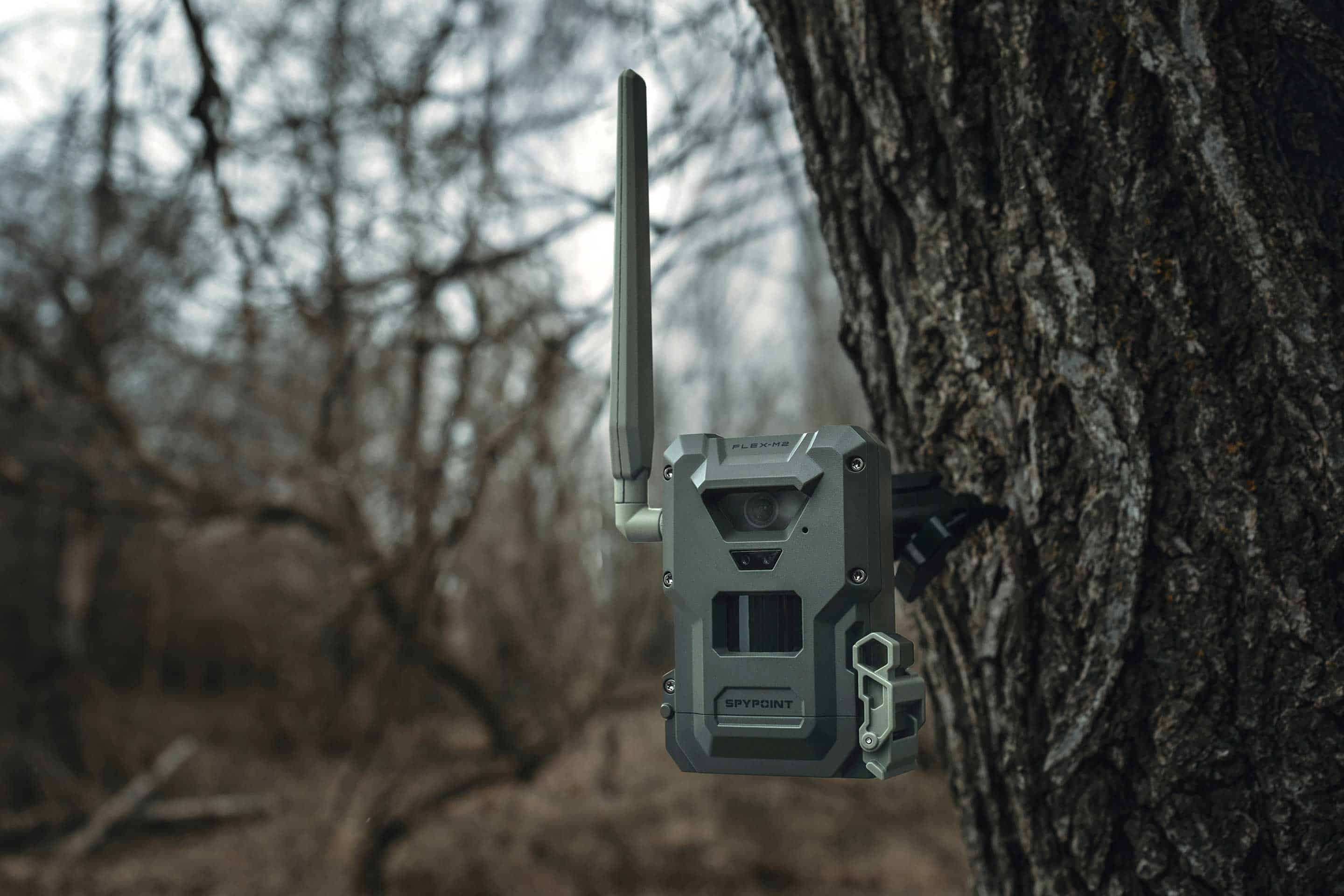 Caméra de chasse SPYPOINT FLEX-M2 avec transmission mobile, 32 MP