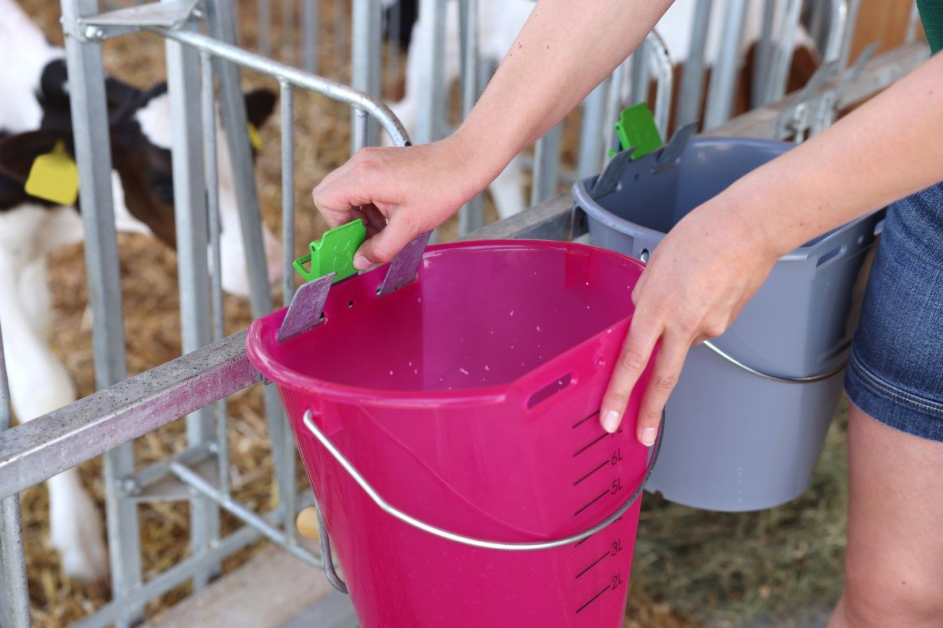 plasticer Eimer, pink Eimer, Milchvieh Farm, Fütterungs-Eimer, 6-Liter-Eimer