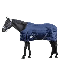 Pferd mit dunkelblauer Steppdecke und Fliegenmaske in Schwarz-Weiß