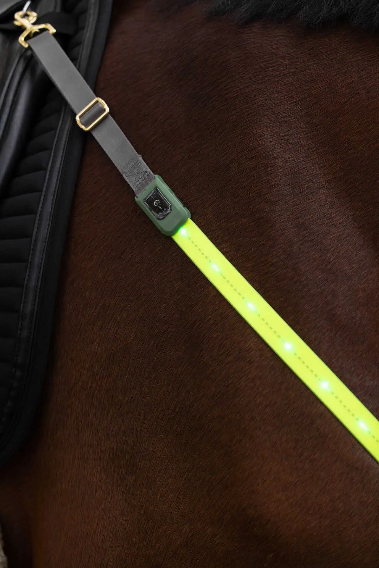 Covalliero LED Breastplate for Horses, Visible up to 300 m, detail view, logo