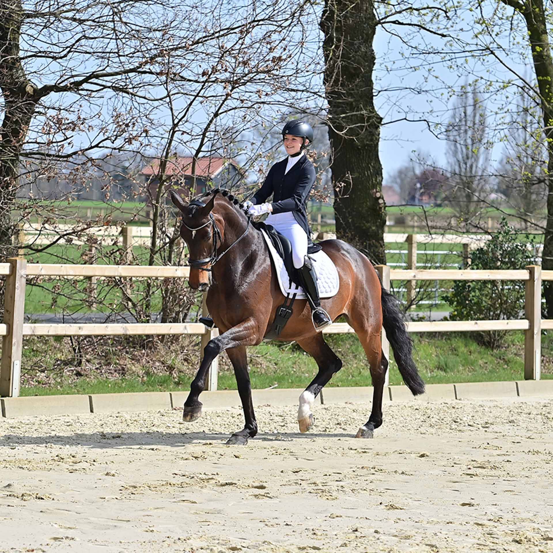 Veste de concours BUSSE ALMERIA, jaquette courte avec inserts mesh, en utilisation