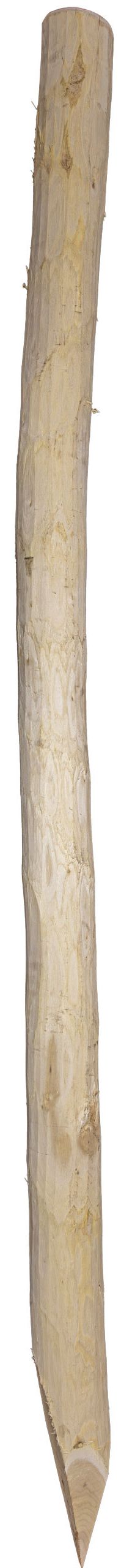 Holz, Stock, Ast, Stab, Treibholz
