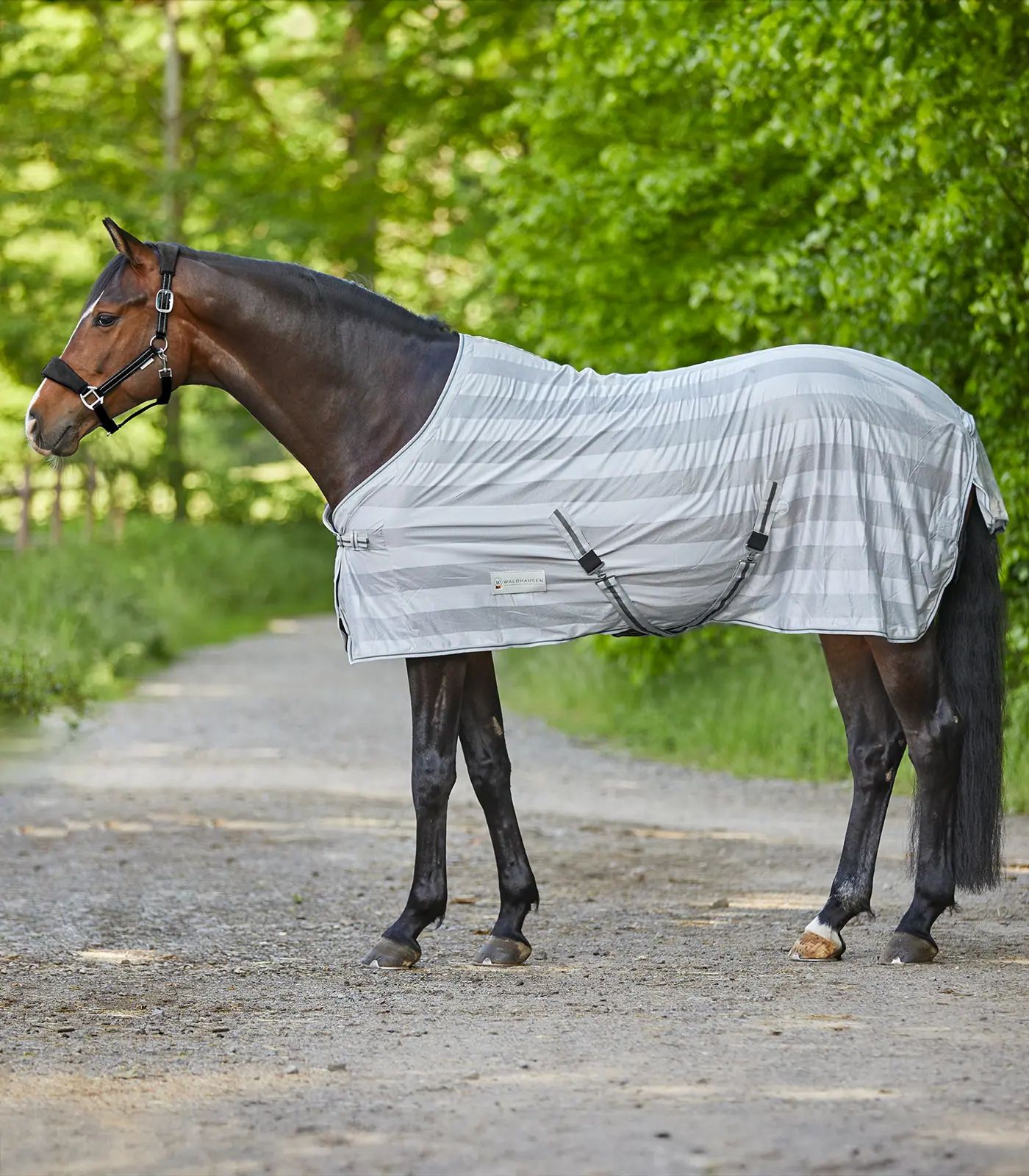 Coperta antimosche ECONOMIC con cinghie incrociate