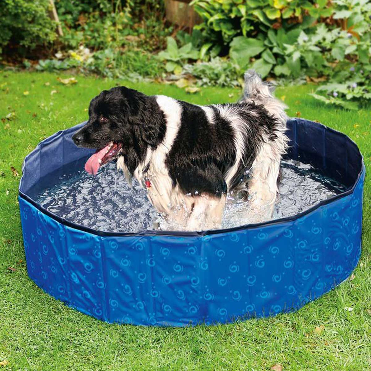 Karlie Hundepool DOGGY POOL blau 160 cm