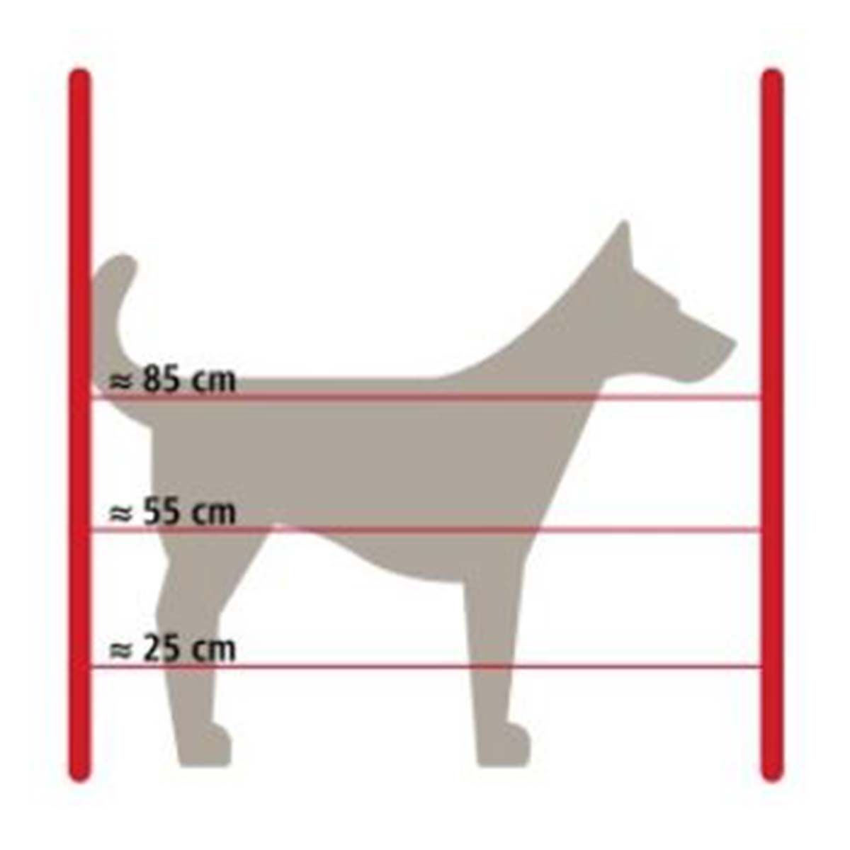 Agrarzone dog fence set B17 battery, dimensioned drawing