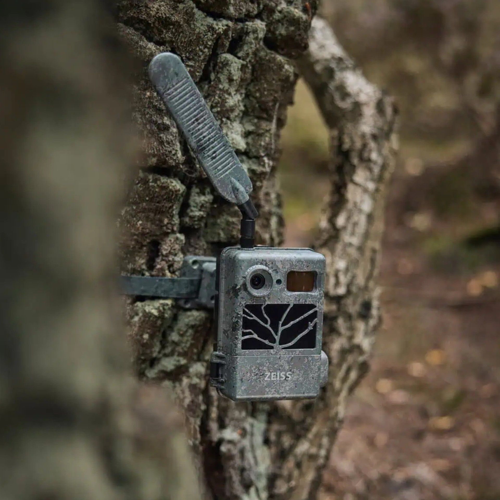 Wildkamera mit Antenne an Baumstamm befestigt, Aufschrift ZEISS