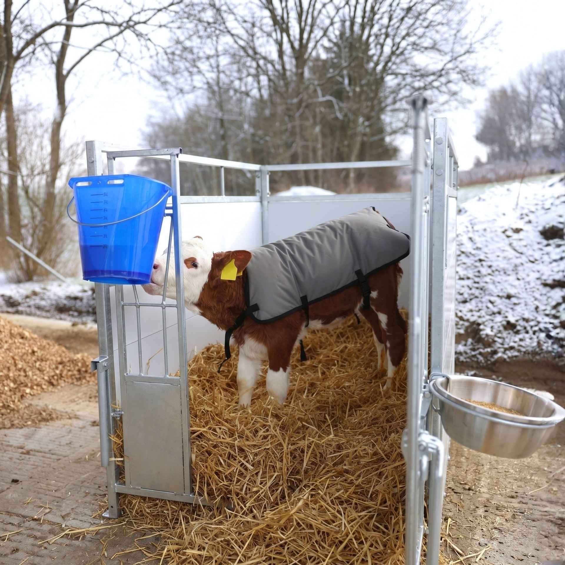 Kalbfarm, Kalb, Stall, Stroh, Decke, Kalb, Kalbstall, Heu Bett, Wetterdecke, Wasserbehälter