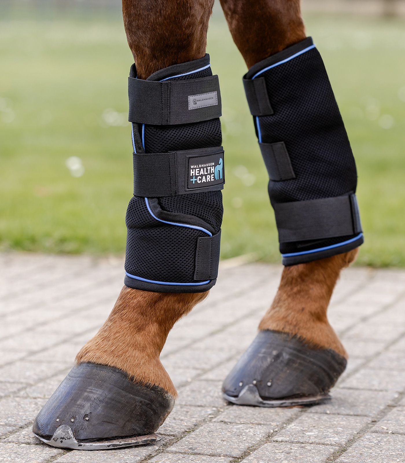 Waldhausen Guêtres Rafraîchissantes Ice-Layer Cheval, Paire, en utilisation, jambe