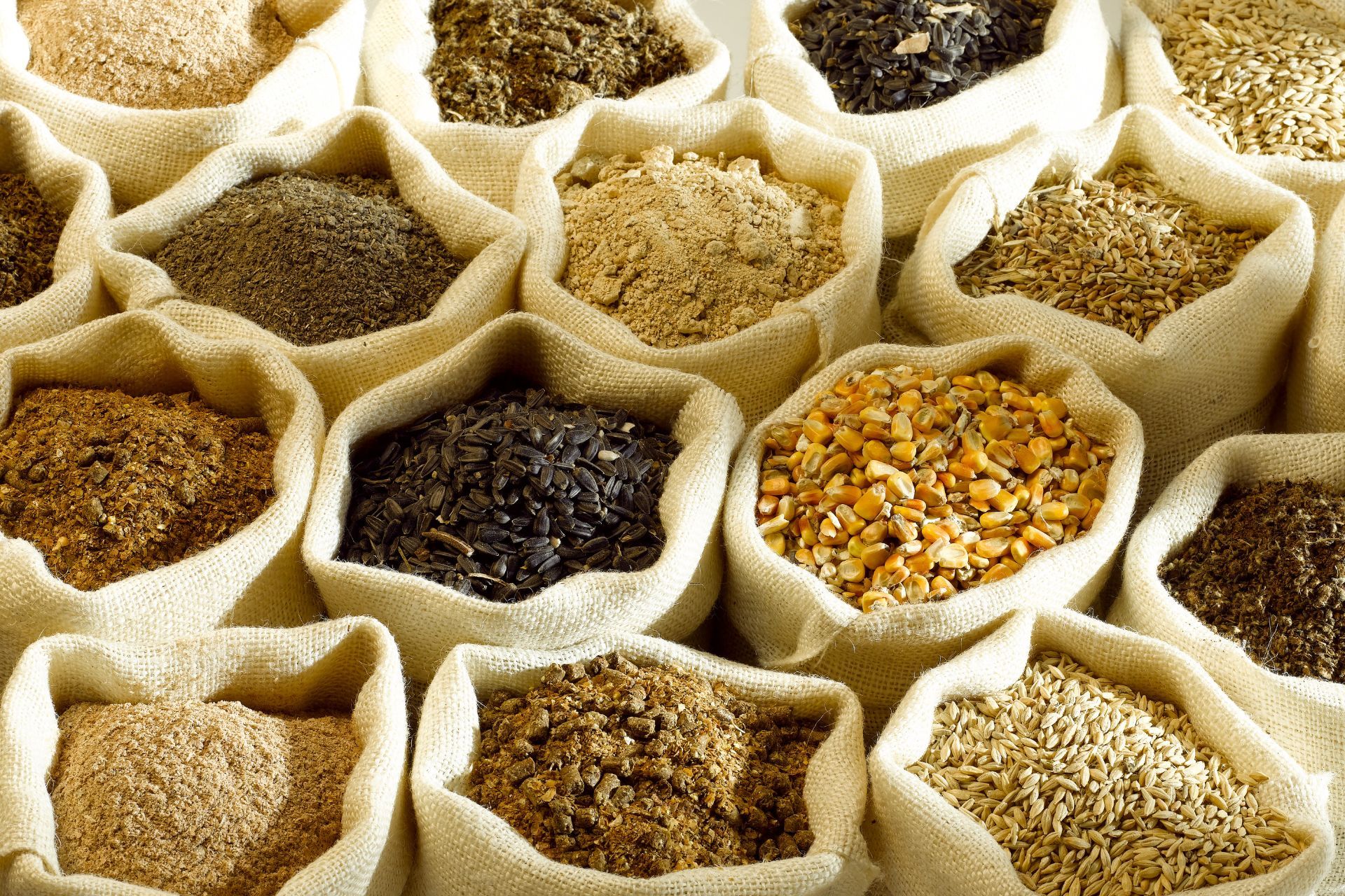 spice mix, grain varieties, bagged grains, bulk spices, rice corn barley