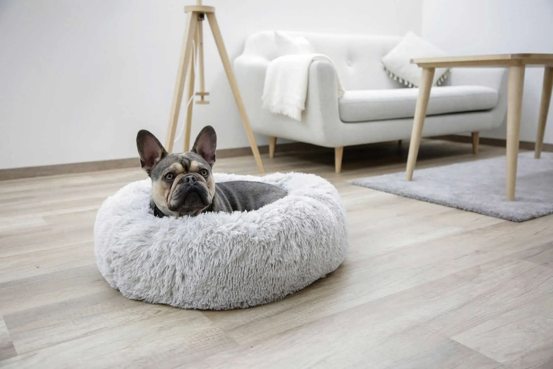 Kerbl Cosy Bed Fluffy Dog & Cat Bed, Light Grey, Donut-Shaped Plush, in use