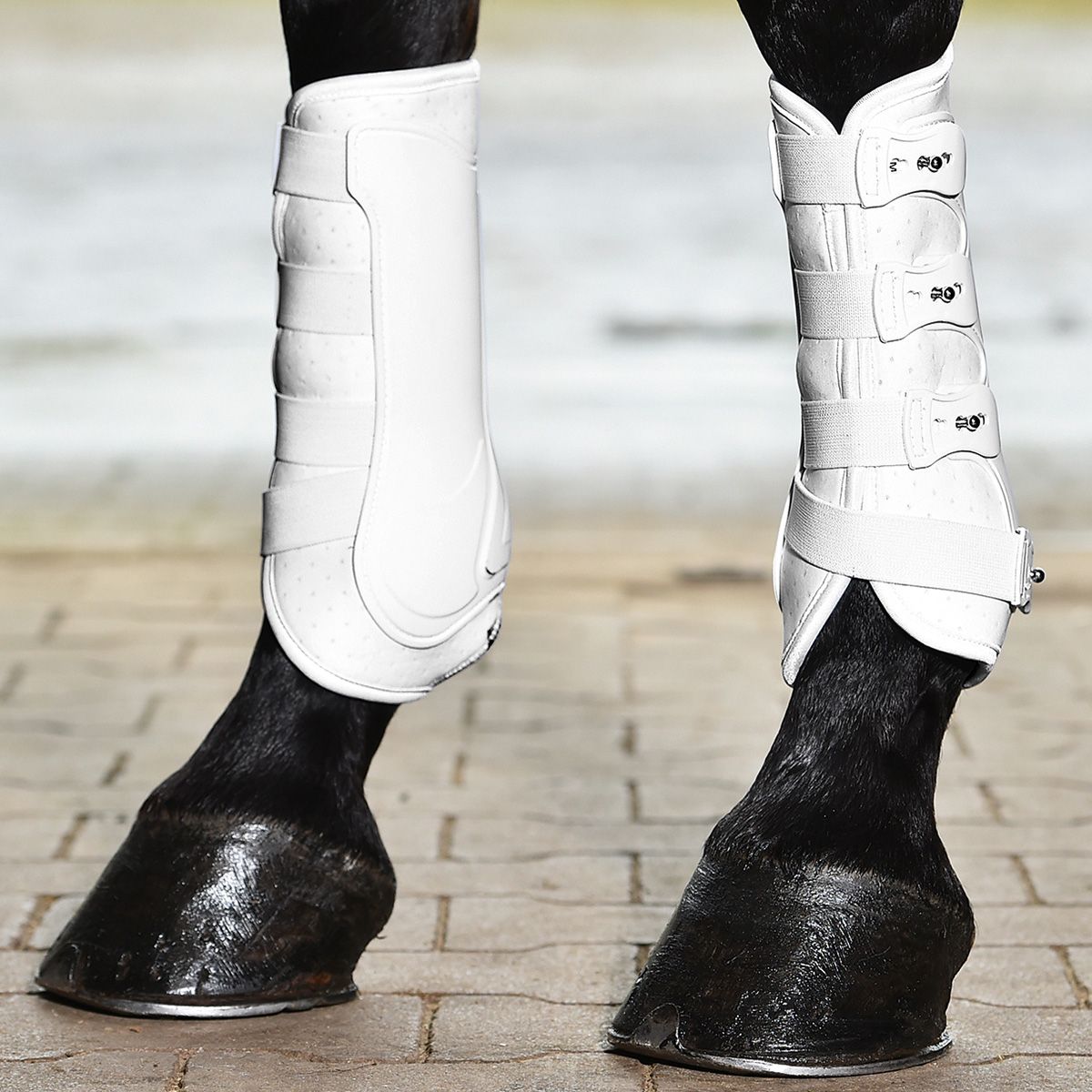 BUSSE jambiere cal DRESSAGE-PRO, jambieră de dresaj cu carcasă rigidă