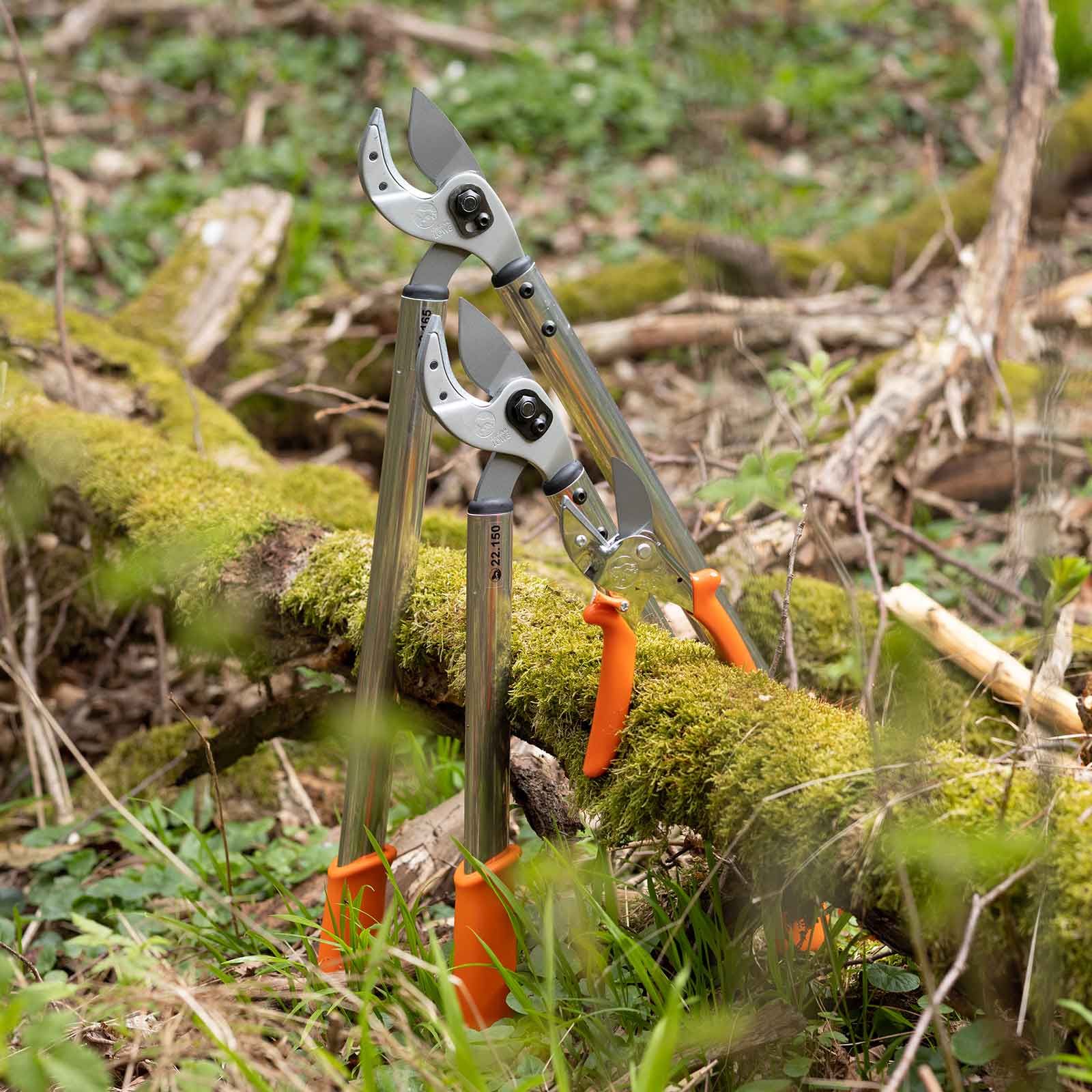 Löwe Hunting Shears 22.165, 65 cm, in use