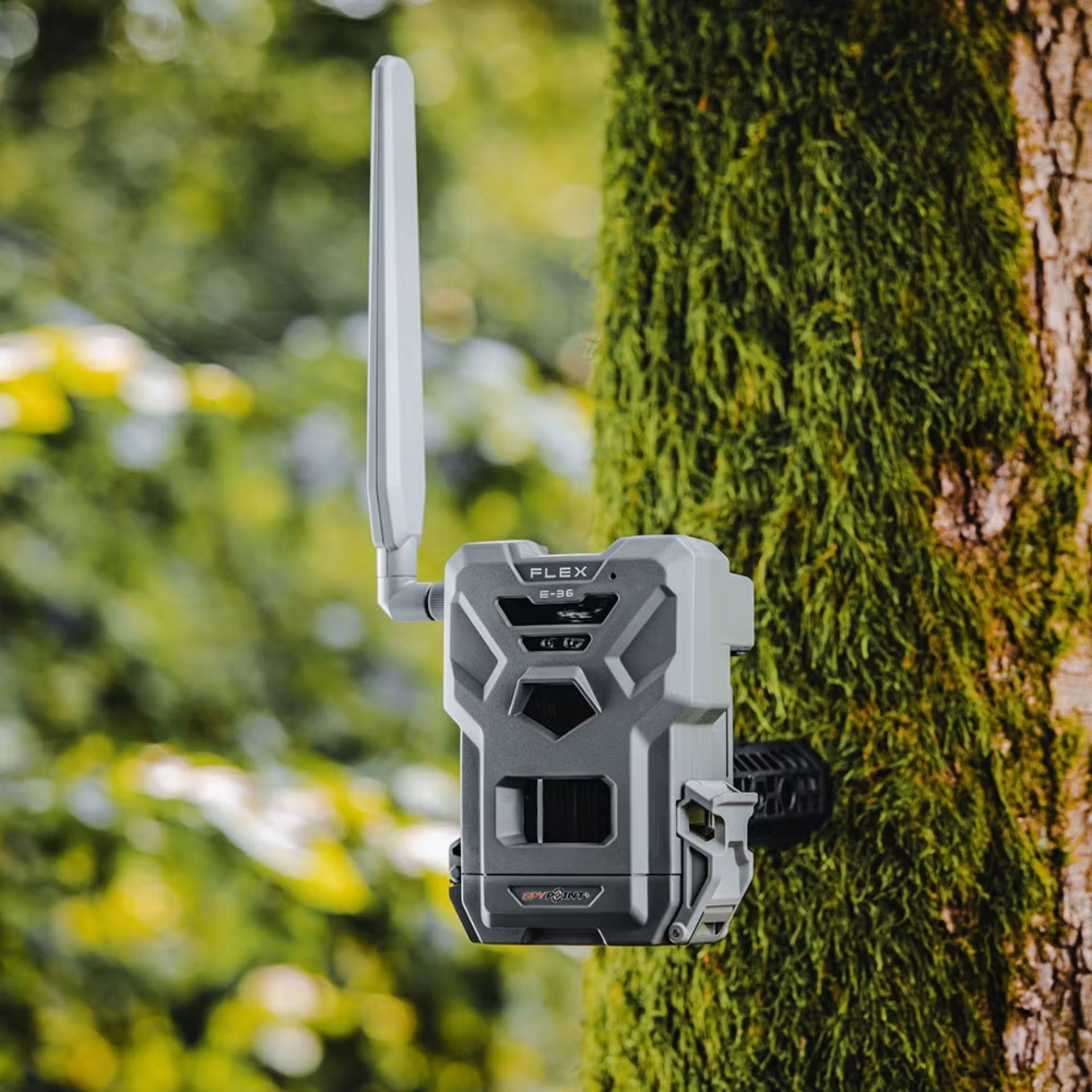 SPYPOINT FLEX E-36 fototrappola con SIM, 4G, 36 MP, set completo