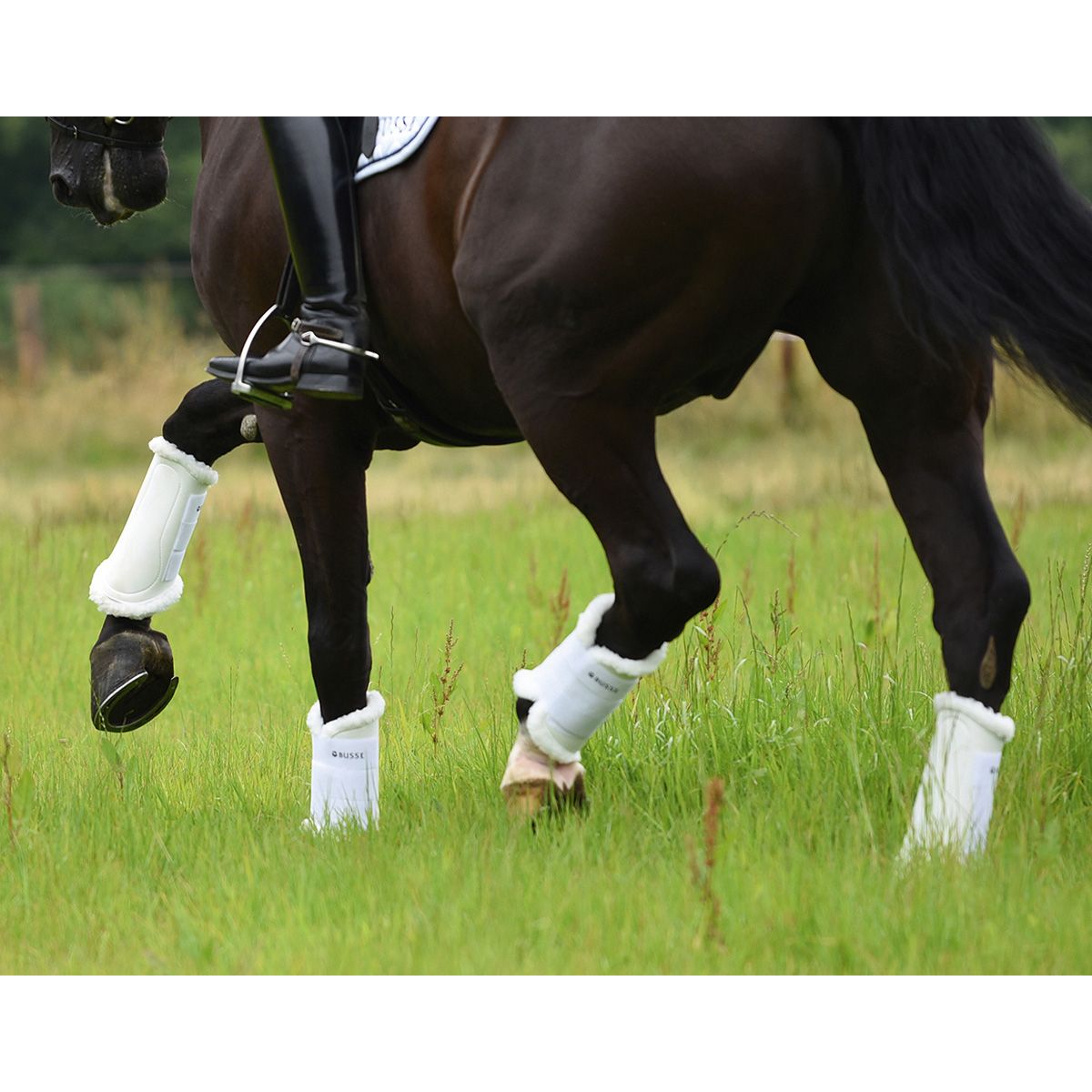 Guêtres ART-FUR BUSSE