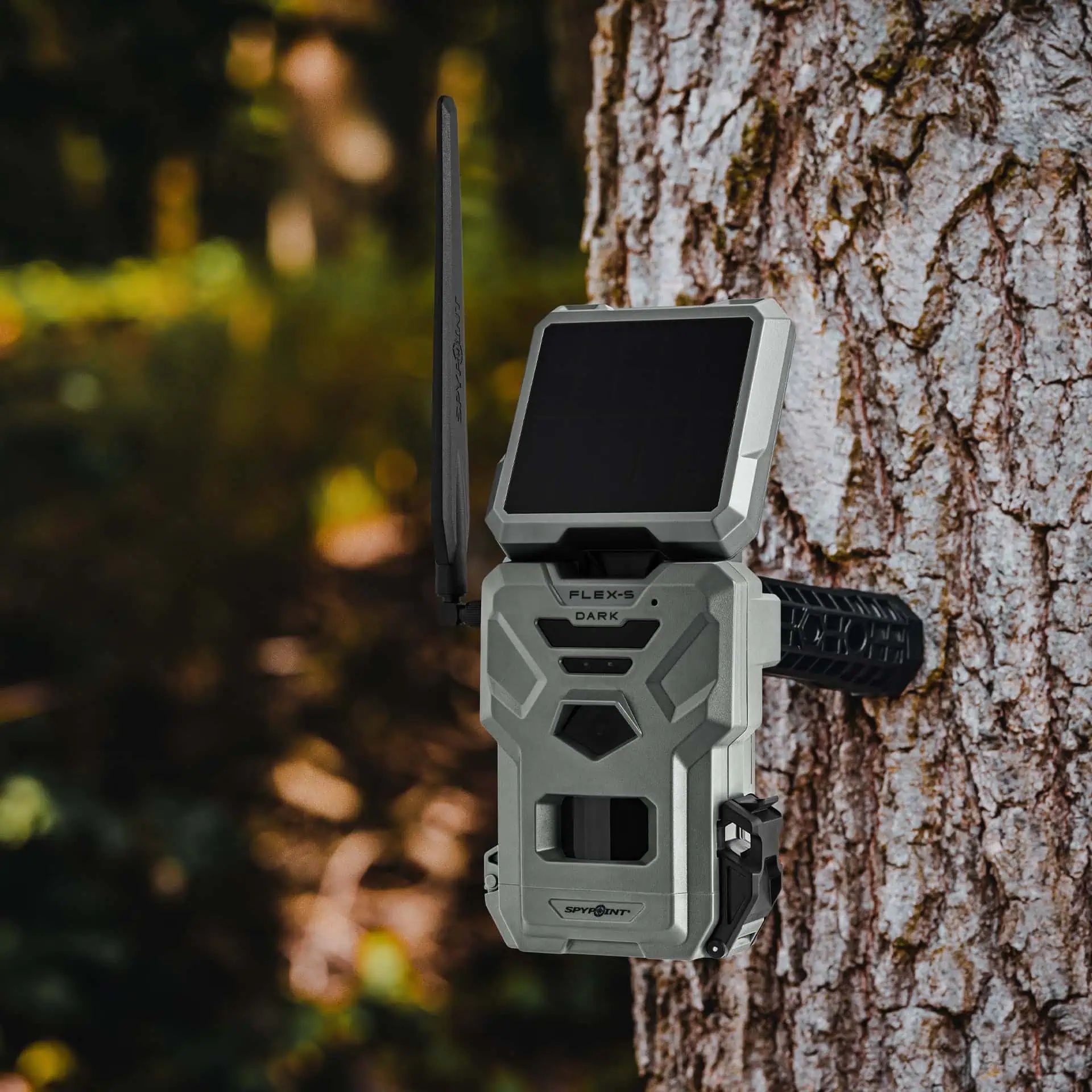 SPYPOINT Wildkamera FLEX-S-DARK, Mobilfunk mit Solarpanel, im Einsatz