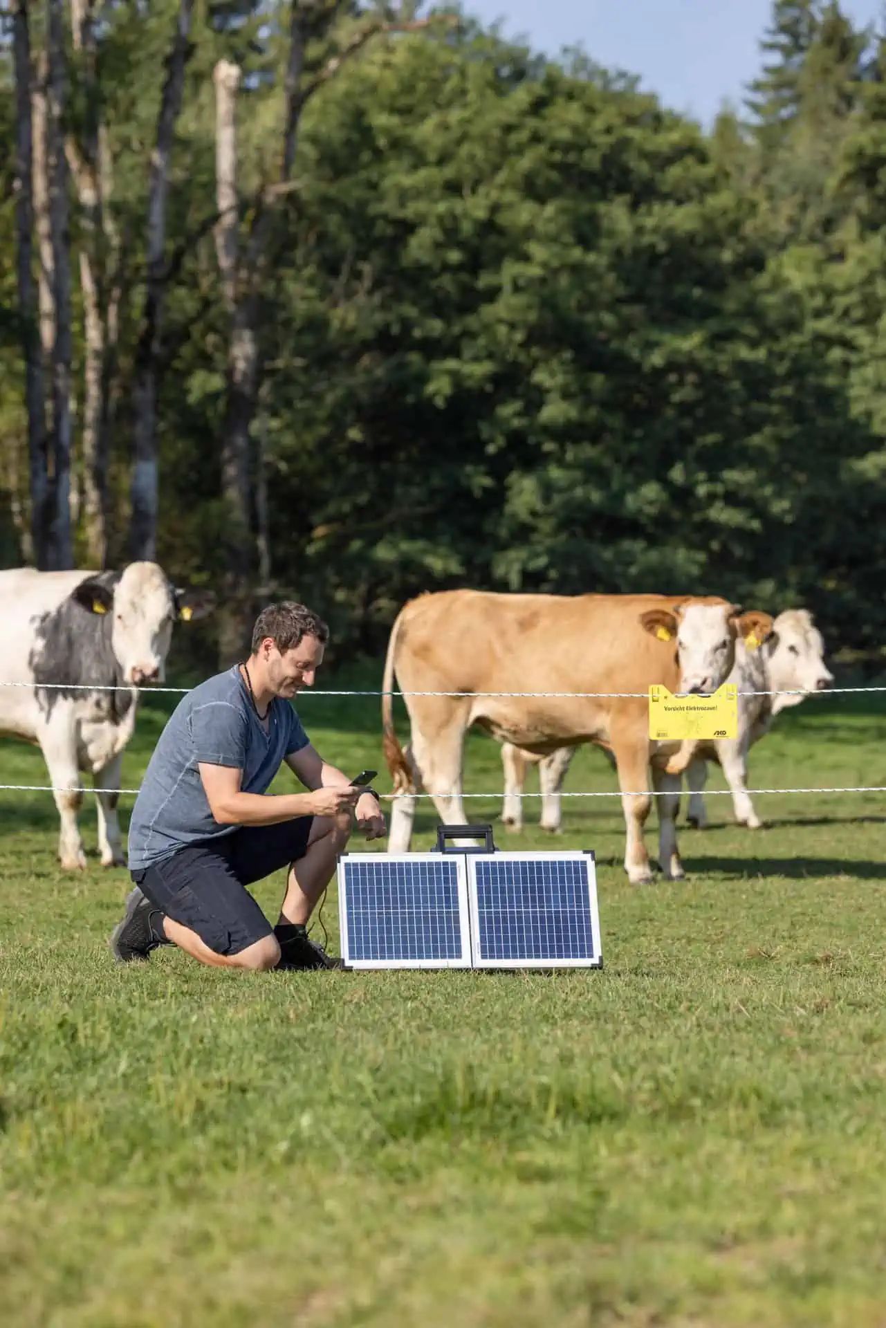 Elettrificatore solare AKO SunPower S2400 Smart 12V, 3,2 Joule, in uso, al pascolo