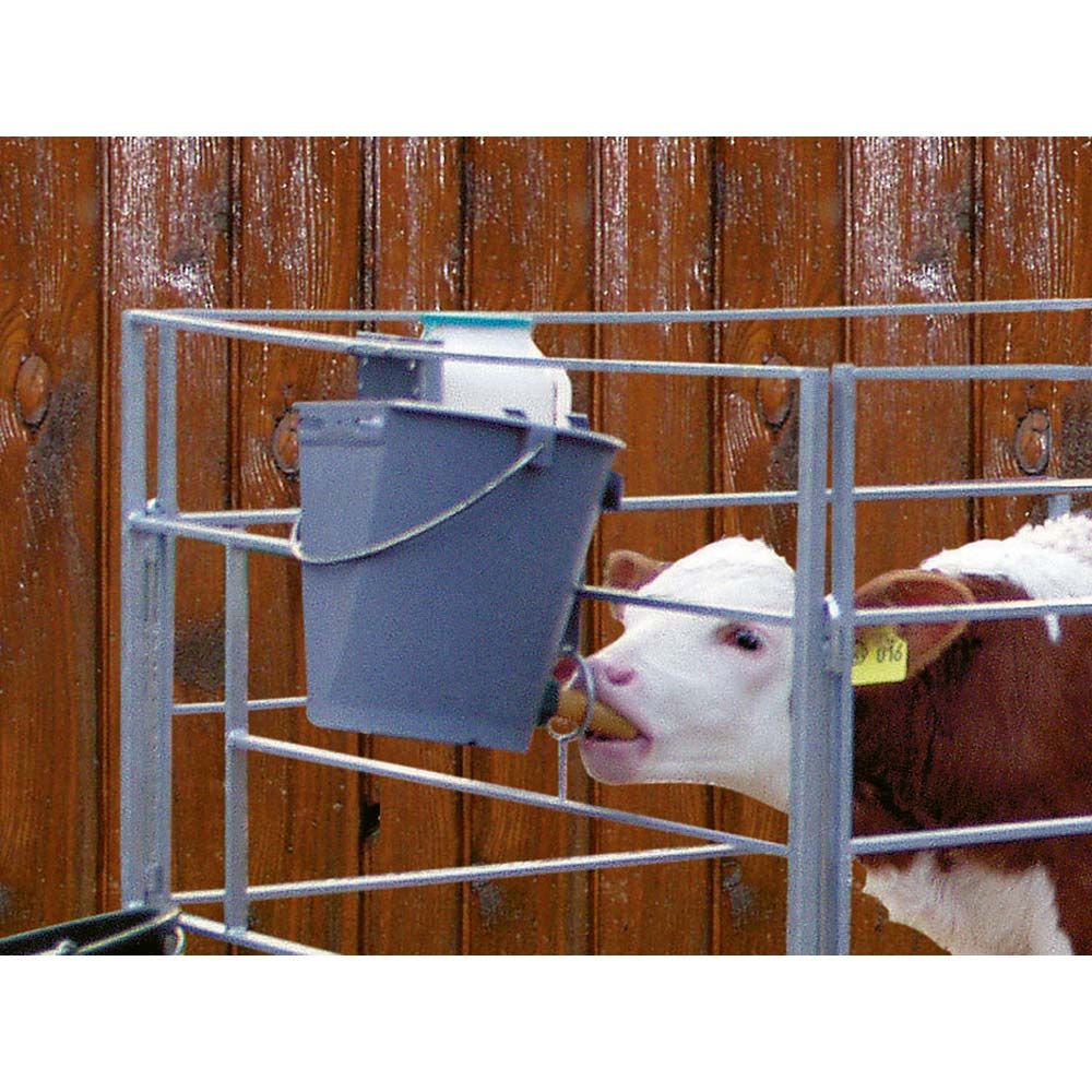 Secchio Allattamento Vitelli Kerbl Plastica con Tettarella 8 L Grigio, in uso, in scuderia