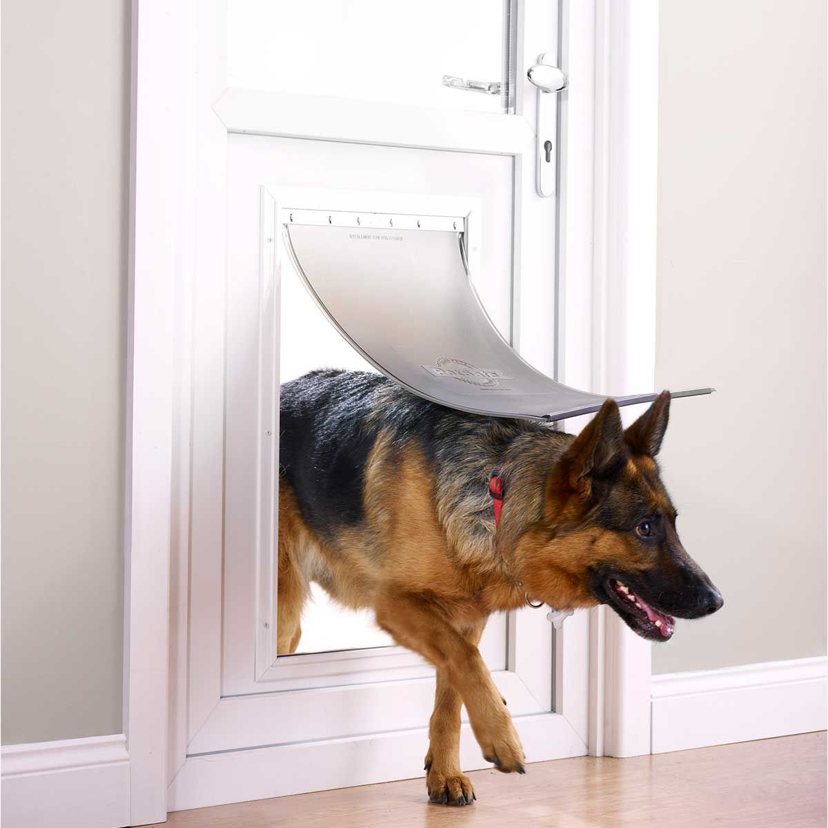 PetSafe Staywell 660 Hundeklappe Aluminium, für große Hunde bis 100 kg, im Einsatz