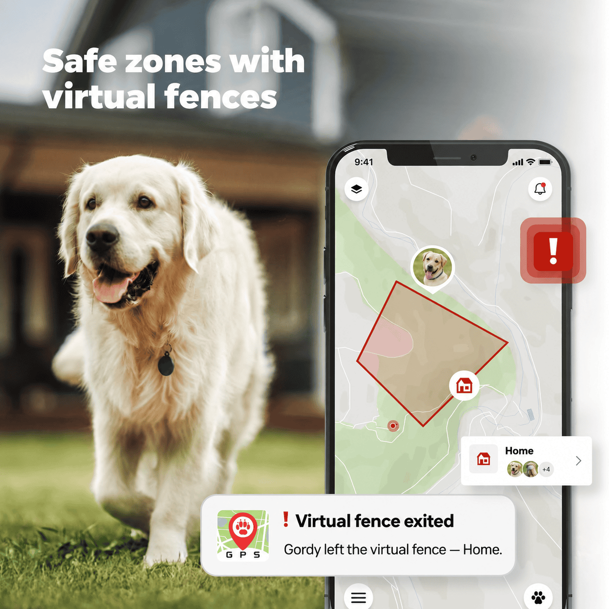 Hund, Golden Retriever, Hunde-Tracker, GPS, Karten-App