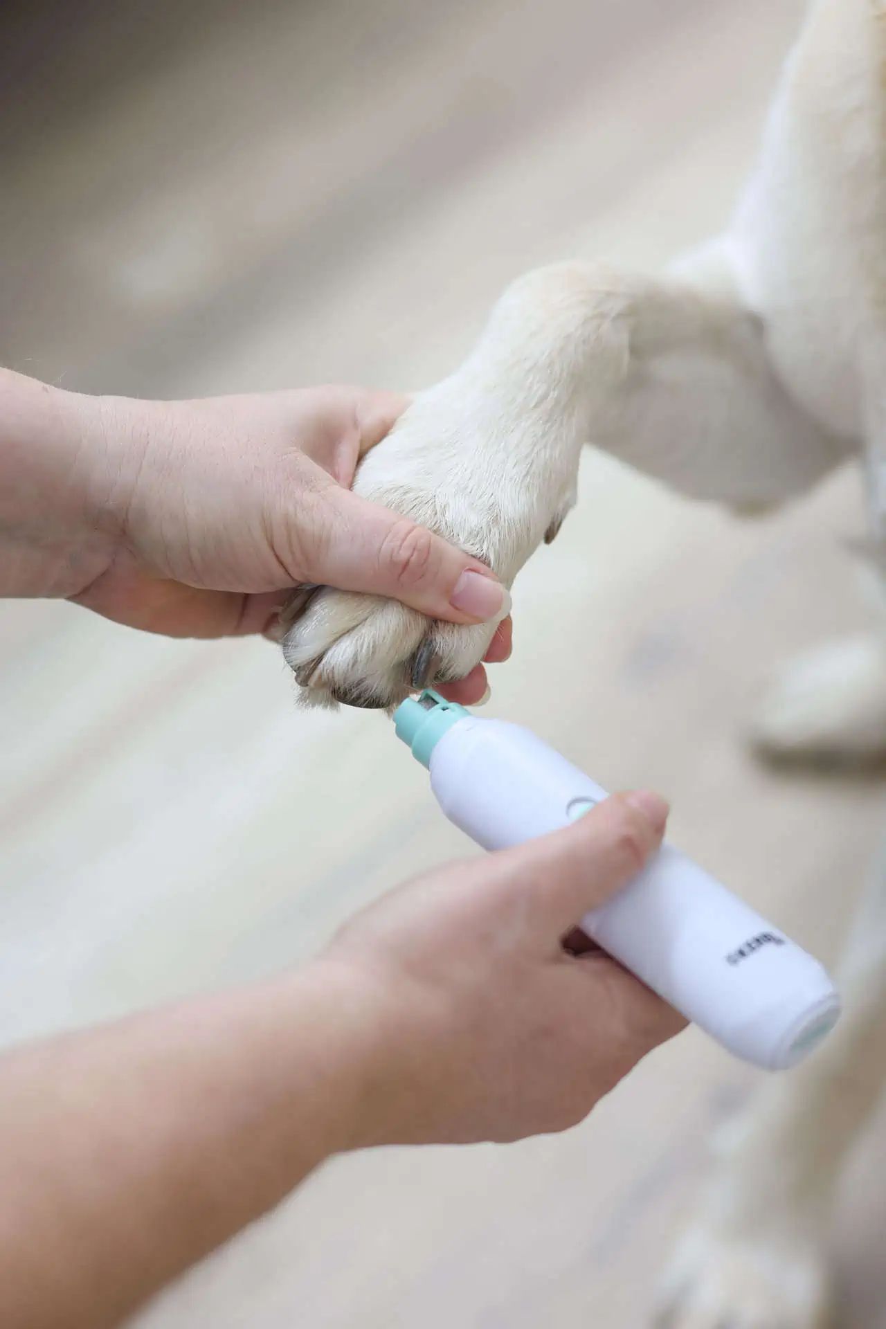 Kerbl Pet Meuleuse à Griffes Chien & Chat, Batterie, Blanc, 15,5 cm