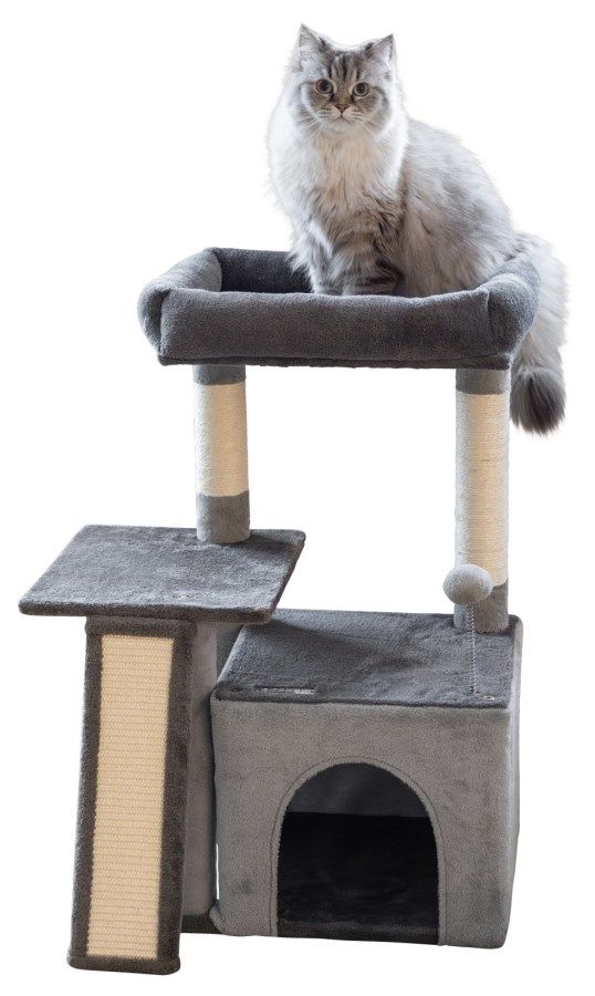 cat tree, cat condo, scratch post, gray cat, pet furniture