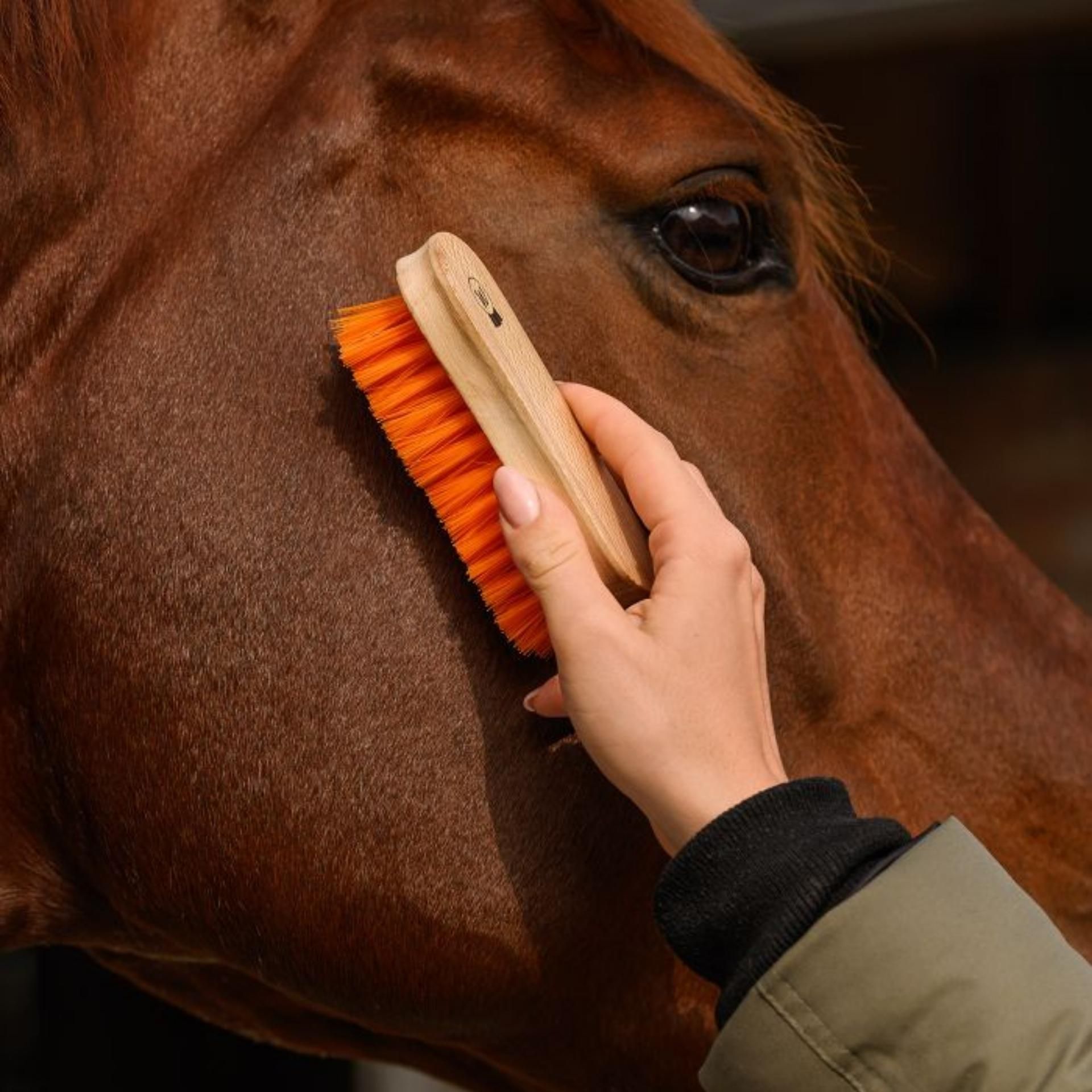 Waldhausen Brosse tête Colorcare, douce, orange, dos en bois naturel, en utilisation