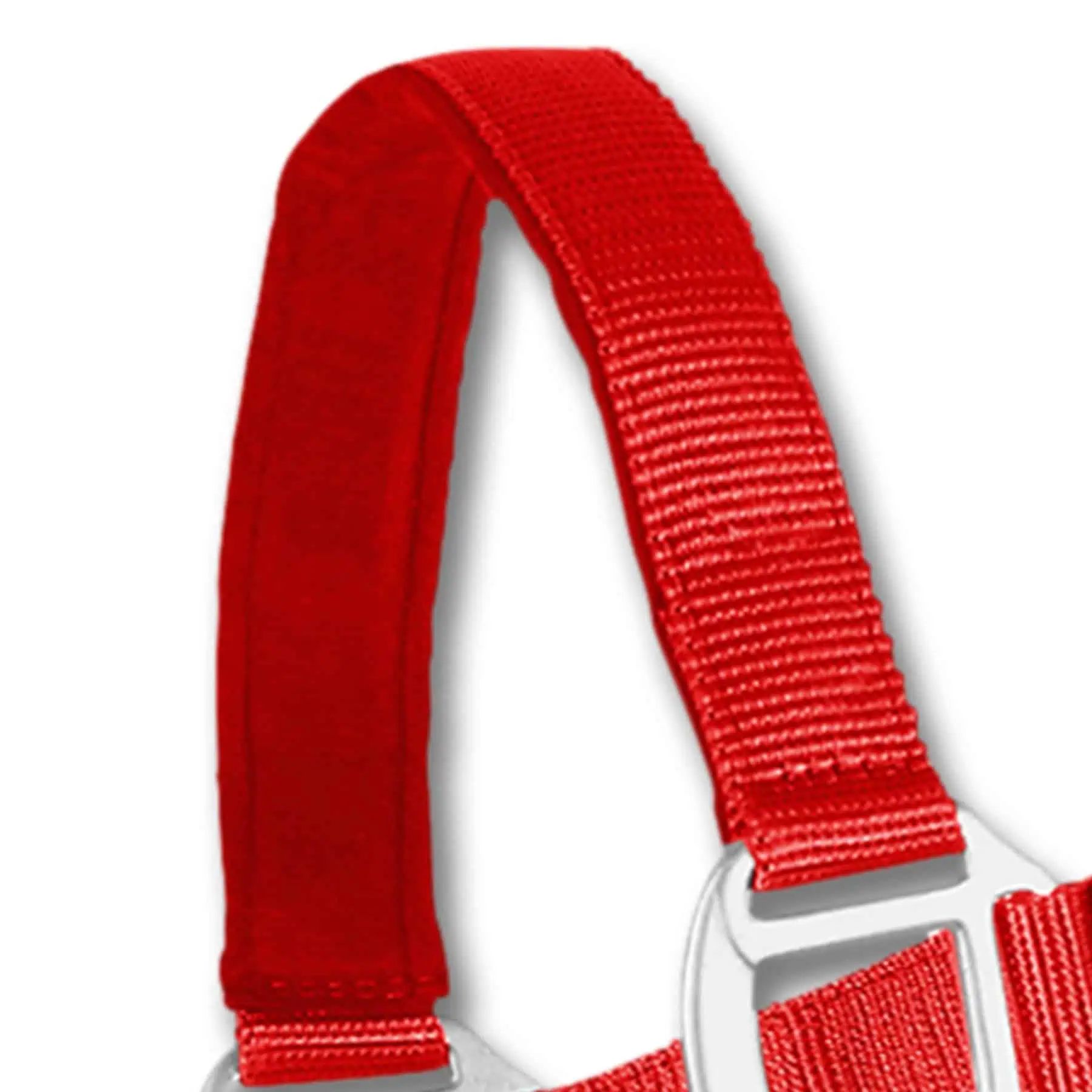 Licol Satin Waldhausen en Perlon, doublé doux et réglable, rouge, COB