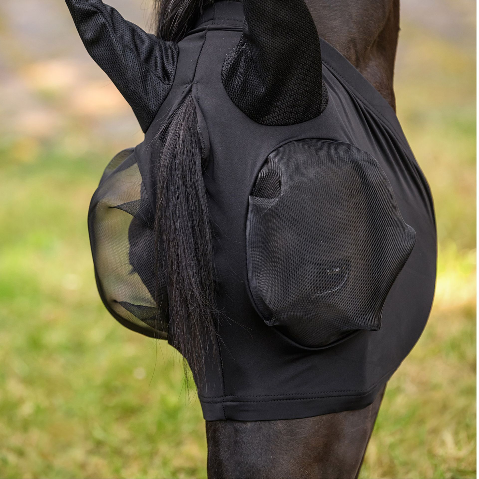 horse, horse blanket, riding clothing, stirrups not visible, black outerwear