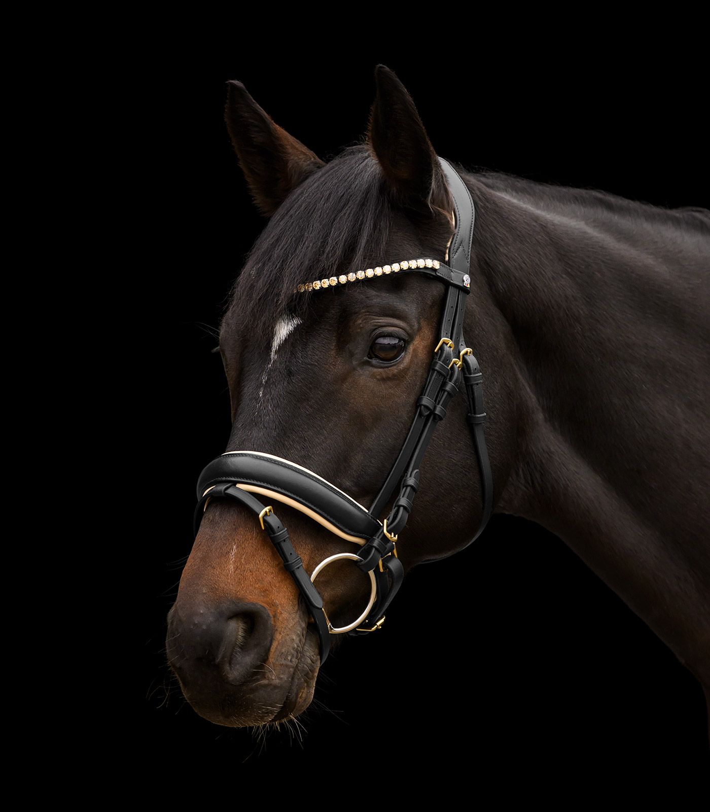 Waldhausen Trensenzaum X-Line Ivory Pony, schwedisch kombiniert, schwarz
