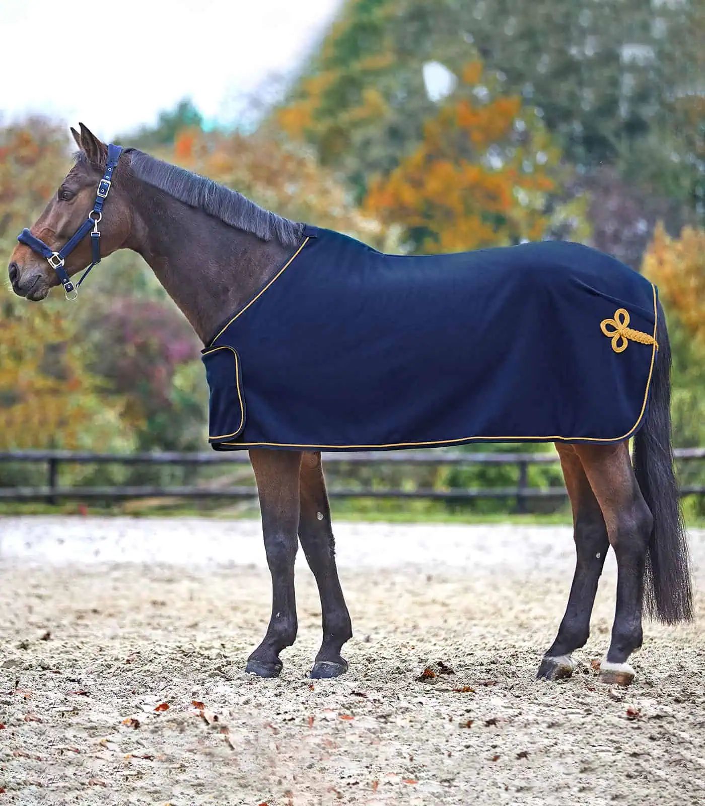 Waldhausen Fleece- und Sponsordecke, weiche Paradedecke mit Logofläche, 145 cm, blau/gold