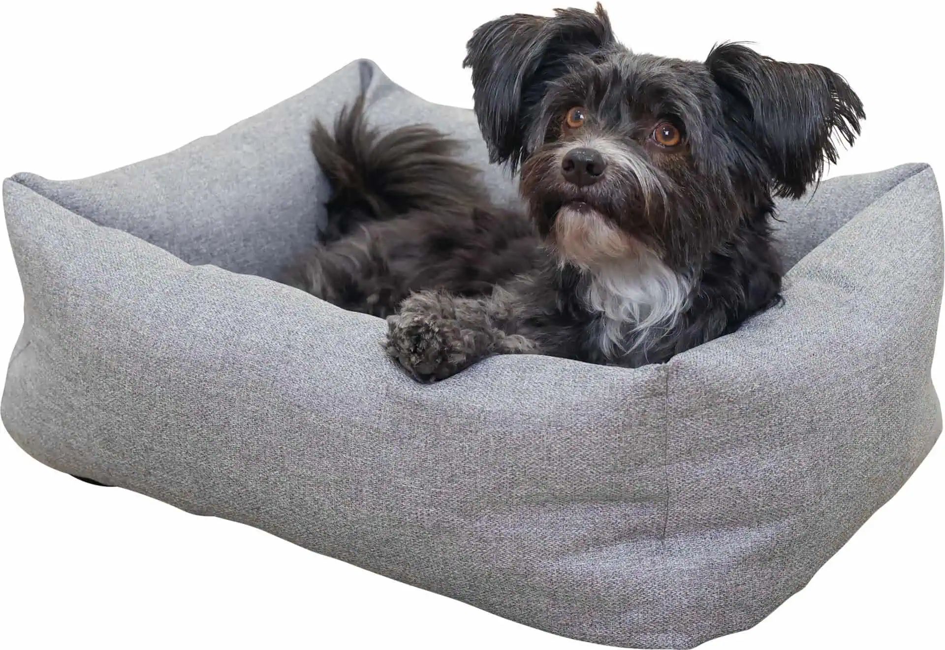 Kerbl Pet Letto Ely, cuccia lavabile per cani e gatti grigio/petrolio, in uso