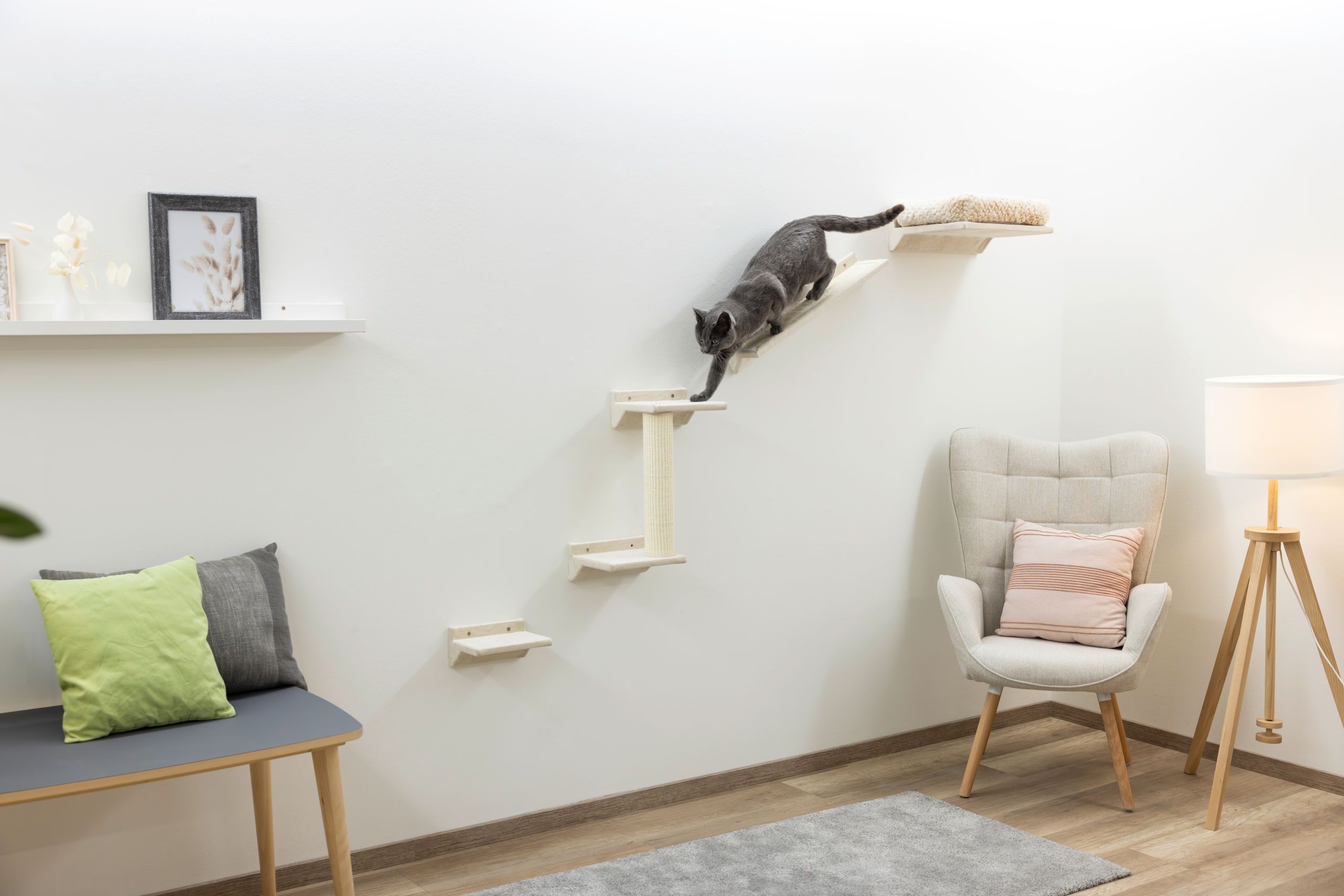 Kerbl Katzen-Kletterwand Monte Prado 6-teilig, beige