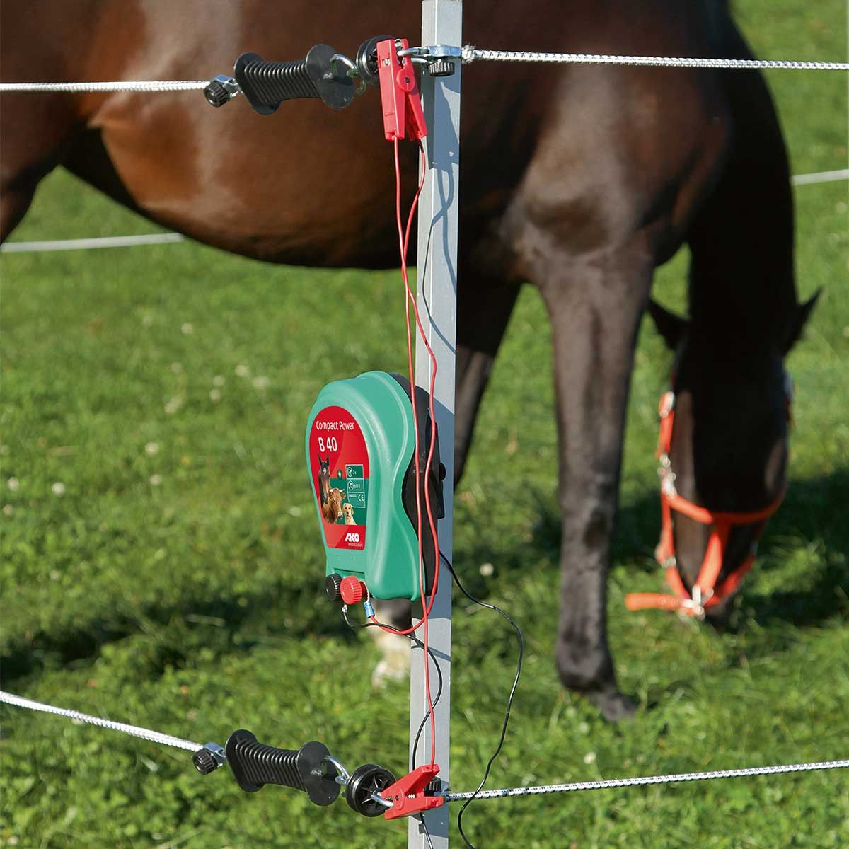 AKO Weidezaungerät Paddock Set 7 x 7 m Turnier-Set, im Einsatz, auf der Weide